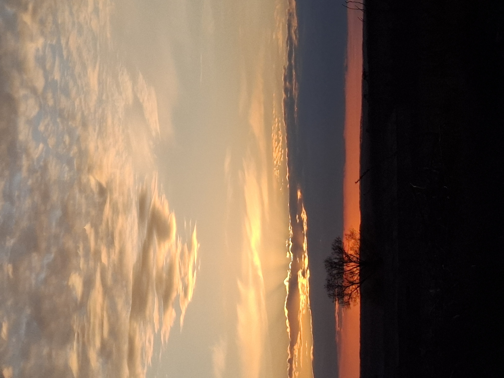 The image depicts a sunset over a landscape near Khlevnoye, Russia. To the left, the sky is filled with clouds illuminated by the setting sun, transitioning from pale orange to brighter gold. Adjacent to the clouds is a thin strip of vivid orange sky. At the end, is a black strip, the horizon, with a small tree silhouette appearing in front of the illuminated orange sky. The land on the right side is indistinguishable due to darkness.