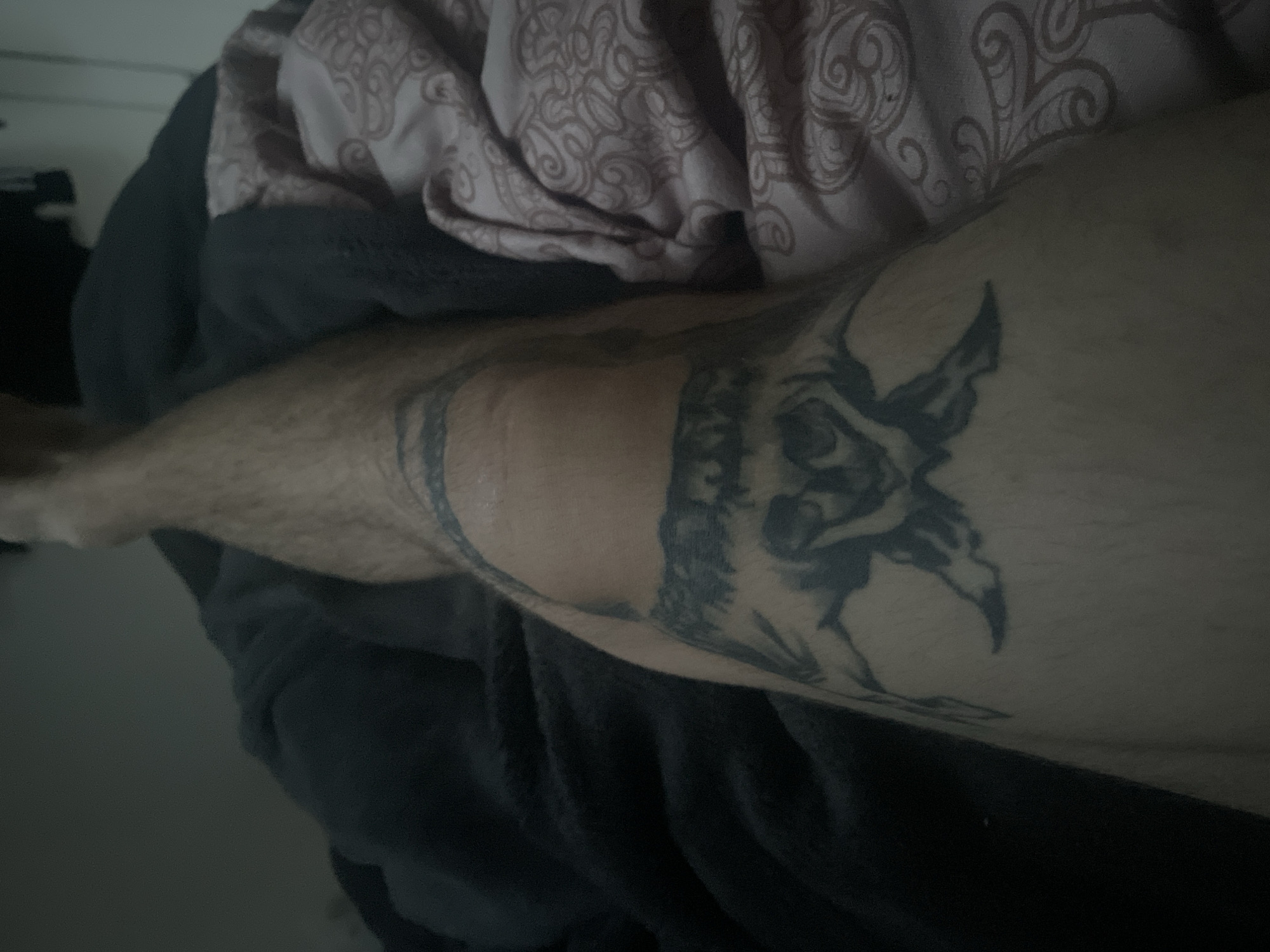 The image shows a close-up of a person's leg, with a tattoo on the knee area. The tattoo appears to be a dark, intricate design, possibly depicting an animal or a mythical creature. The leg is hairy and the skin tone is light. The background consists of dark blankets and a patterned fabric, suggesting the person is likely in a bedroom or on a bed. The lighting is dim, creating shadows and an intimate atmosphere. The image is taken from a slightly elevated angle, looking down at the leg. There are no other people visible in the image. The scene does not contain any recognizable landmarks or contextual clues that would place it specifically in the city of Paczkowo, Poland.