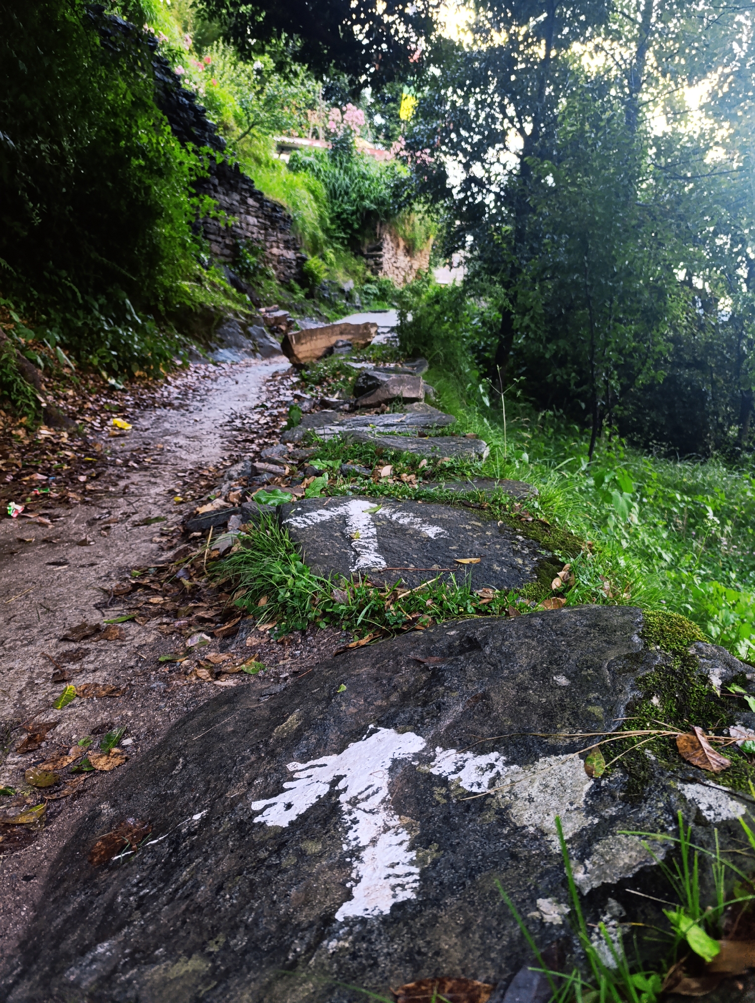 The image depicts a well-trodden path in Vashisht, India, characterized by its natural beauty and the presence of signage. The path is flanked by lush green vegetation, suggesting a rural or semi-rural setting. On the path itself, two white arrows are painted on rocks, indicating direction. The larger arrow, in the foreground, is on a dark, moss-covered rock, while a smaller arrow is visible further up the path on a similar rock. The path appears to be made of stone and earth, with fallen leaves scattered on its surface. To the left of the path, a stone wall covered in greenery rises, with glimpses of pink flowers. To the right, dense foliage and trees form a natural barrier. The lighting suggests it is daytime, possibly late afternoon, with sunlight filtering through the trees. No people are visible in the image. The scene evokes a sense of tranquility and natural exploration, with the arrows serving as guides for those traversing the path.