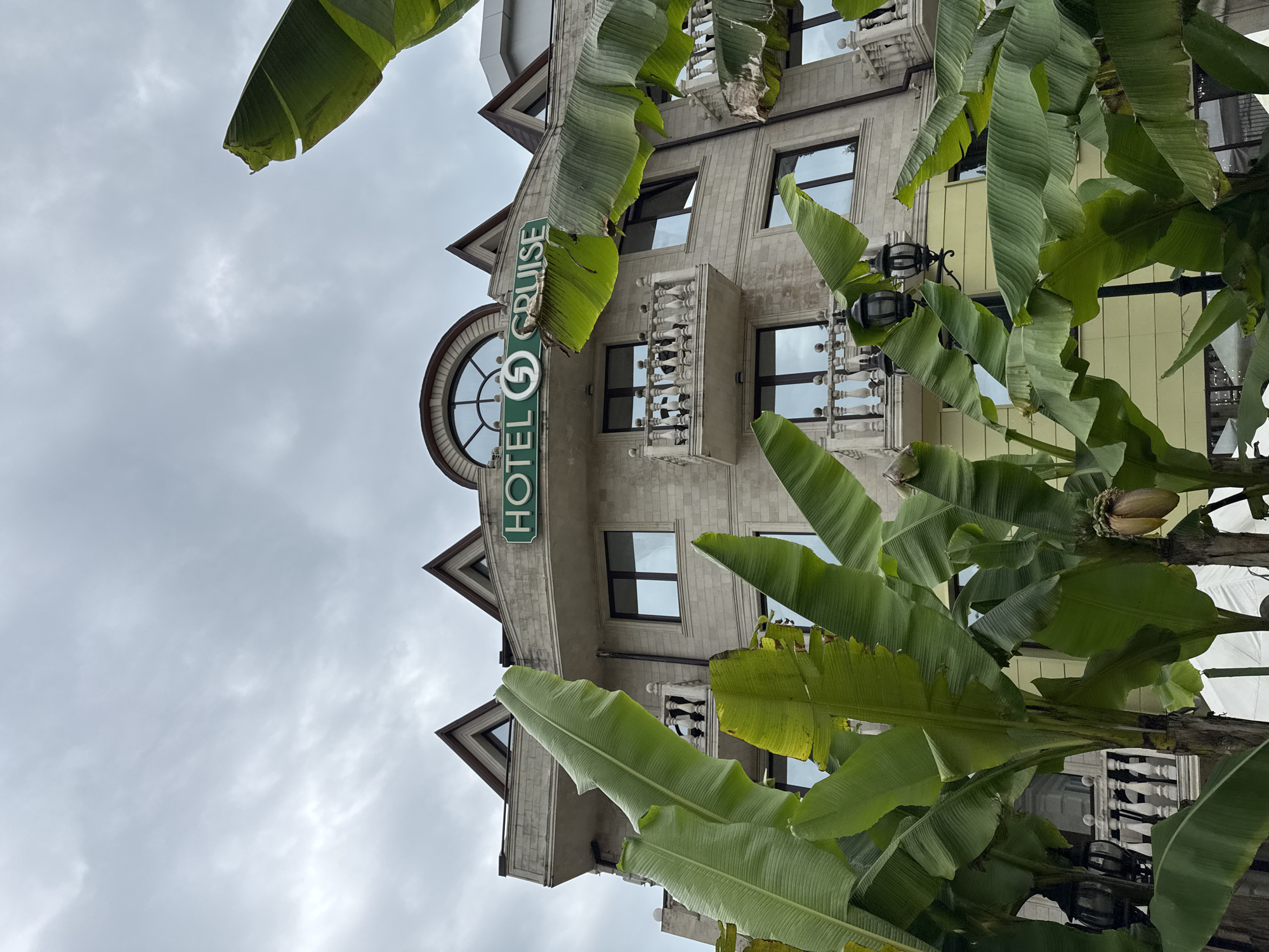 A low-angle shot captures the facade of "Hotel Cruise" in Sochi, Russia, partially obscured by banana tree foliage. The building, a light-colored stone structure, features multiple windows, ornate balconies, and a distinctive circular window above the "Hotel Cruise" sign. The sign itself is green and vertically oriented. The sky is overcast with gray clouds. A cluster of bananas is visible amongst the leaves of the banana tree. The image is rotated, giving a tilted perspective.