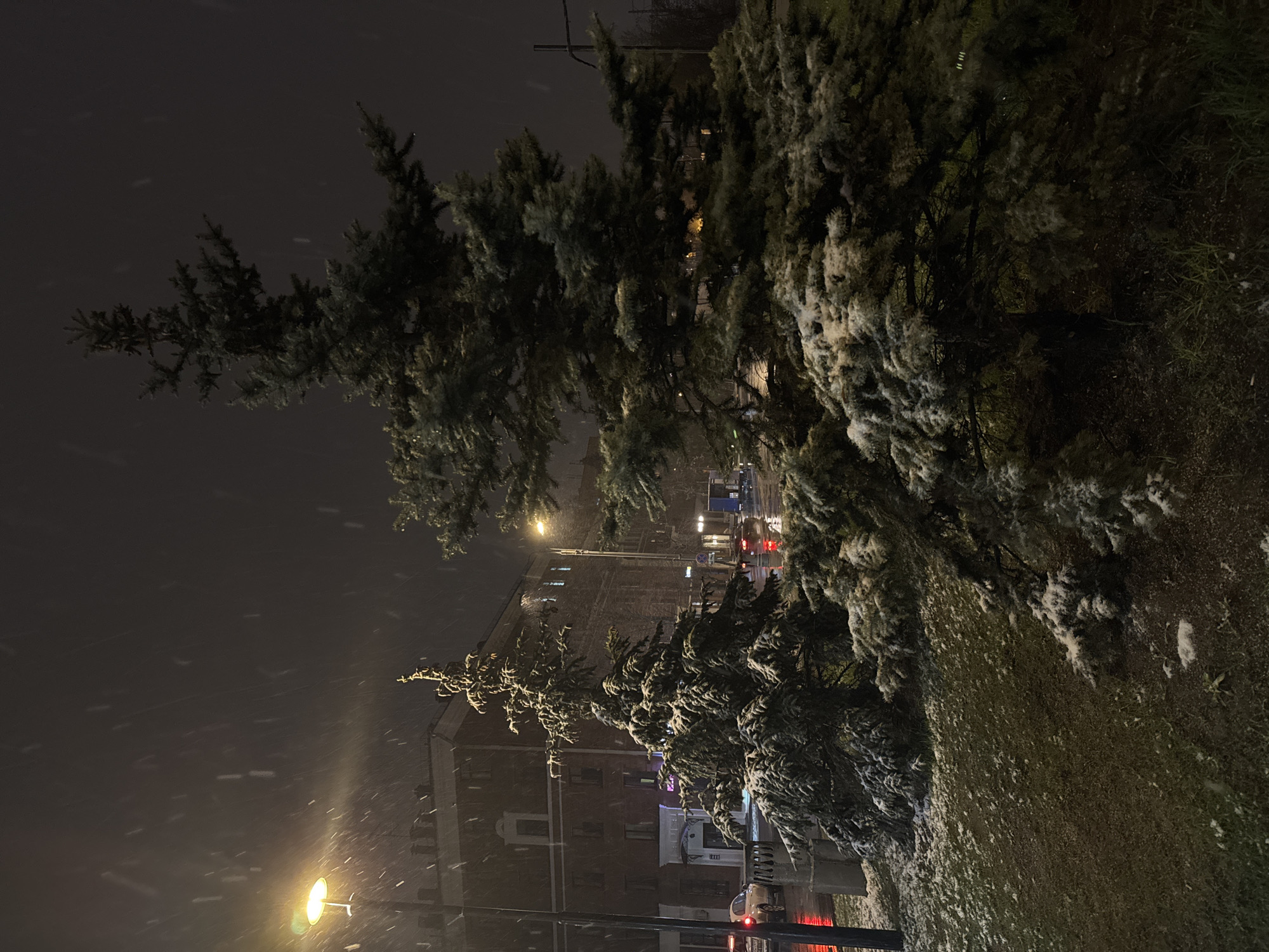 The image depicts a nighttime scene in Moscow, Russia during a snowfall. The foreground is dominated by snow-covered evergreen trees, partially obscuring a multi-story brick building across the street. A street lamp illuminates the falling snow and the building facade. Cars with their headlights on are visible on the street, suggesting traffic. The overall atmosphere is dark and wintery.