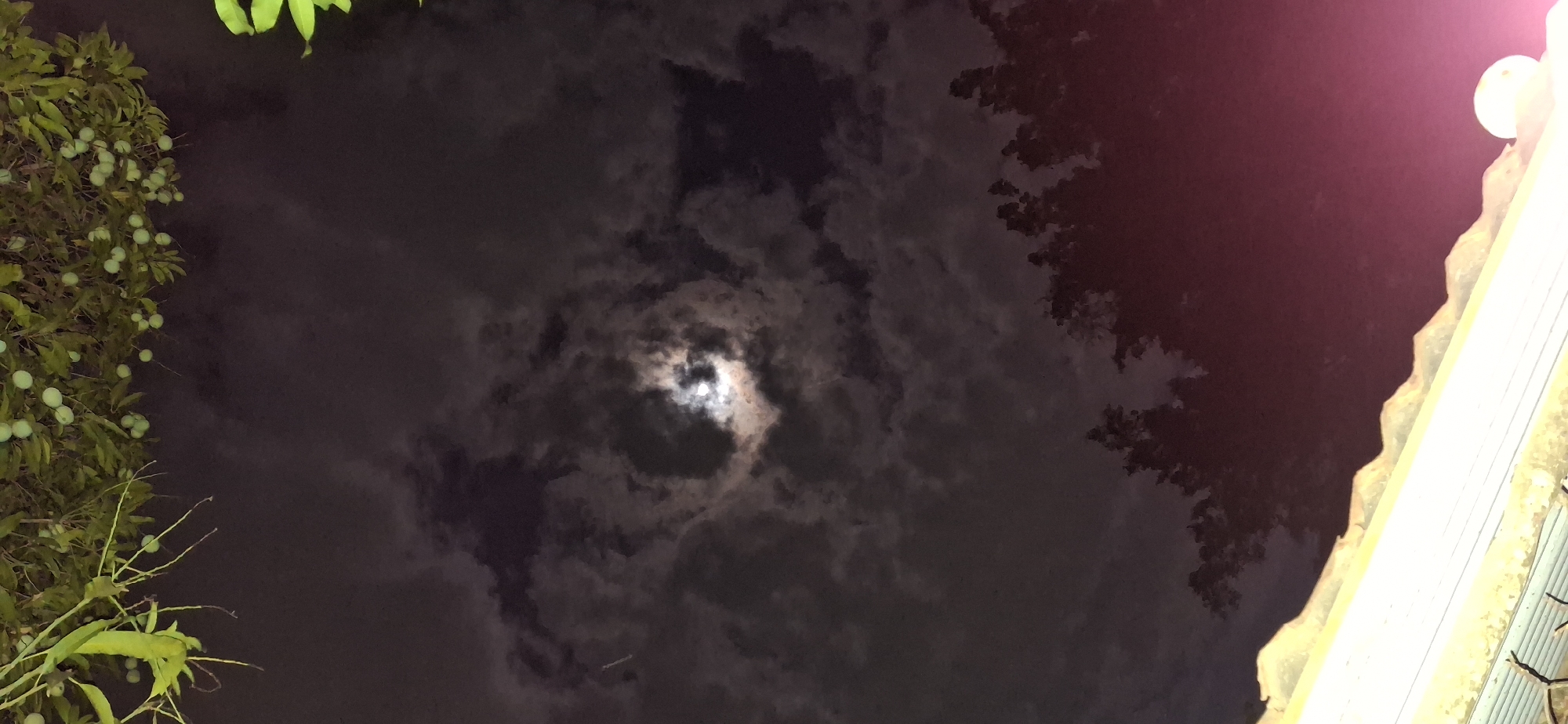 The image displays a nocturnal landscape in Vallecito, Venezuela. The central subject is the moon, partially obscured by an expanse of dark and lighter clouds that swirl around it, creating a captivating celestial display. On the left side of the frame, a verdant tree, likely a mango tree, is visible, densely covered with numerous small, round, light green fruits, suggesting a productive harvest. Its foliage is dark green against the night sky. The upper right portion of the image reveals the silhouette of tree branches or leaves against a dark, reddish-tinged sky, possibly influenced by ambient light or light pollution. Below this, a section of a building or structure with a corrugated, light-colored roof or awning is brightly illuminated, cutting diagonally across the right edge. The scene is set at night, indicated by the dark sky and the prominent moon, with cloudy weather conditions. No people or visible text are present. The overall atmosphere is one of serene, natural beauty in a tropical setting.