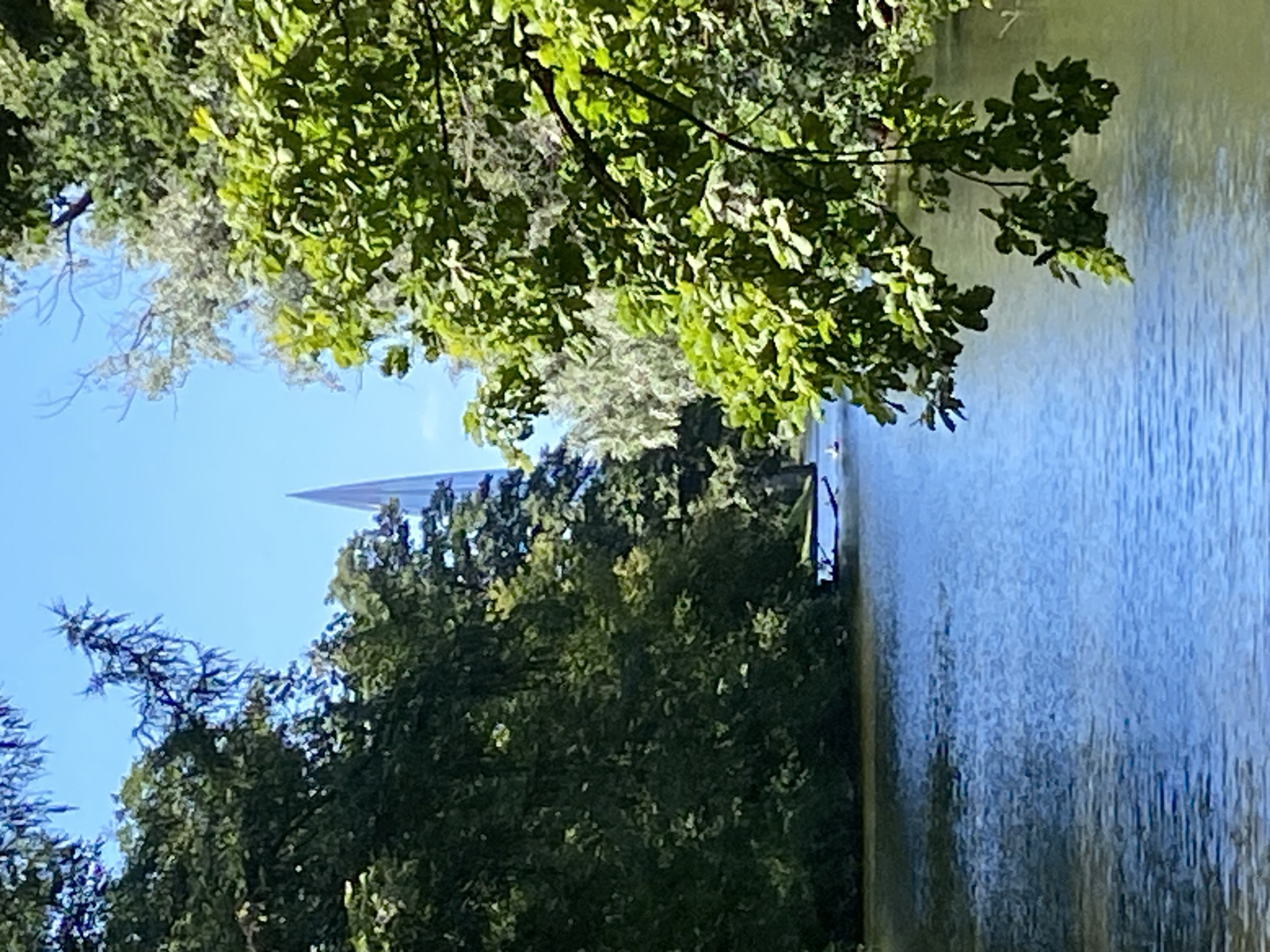 A bright, sunny day is depicted in this image, showing a tranquil canal or river in Saint Petersburg, Russia. Lush green trees line the banks of the waterway, creating a dense canopy that provides shade. In the distance, a tall, slender, futuristic-looking skyscraper with a pointed apex pierces the clear blue sky, contrasting with the natural landscape. Two small boats are visible on the water, one closer to the foreground and another further away, suggesting leisurely activity. The water's surface is calm, reflecting the surrounding foliage and sky. The overall scene evokes a sense of peaceful coexistence between urban development and nature.