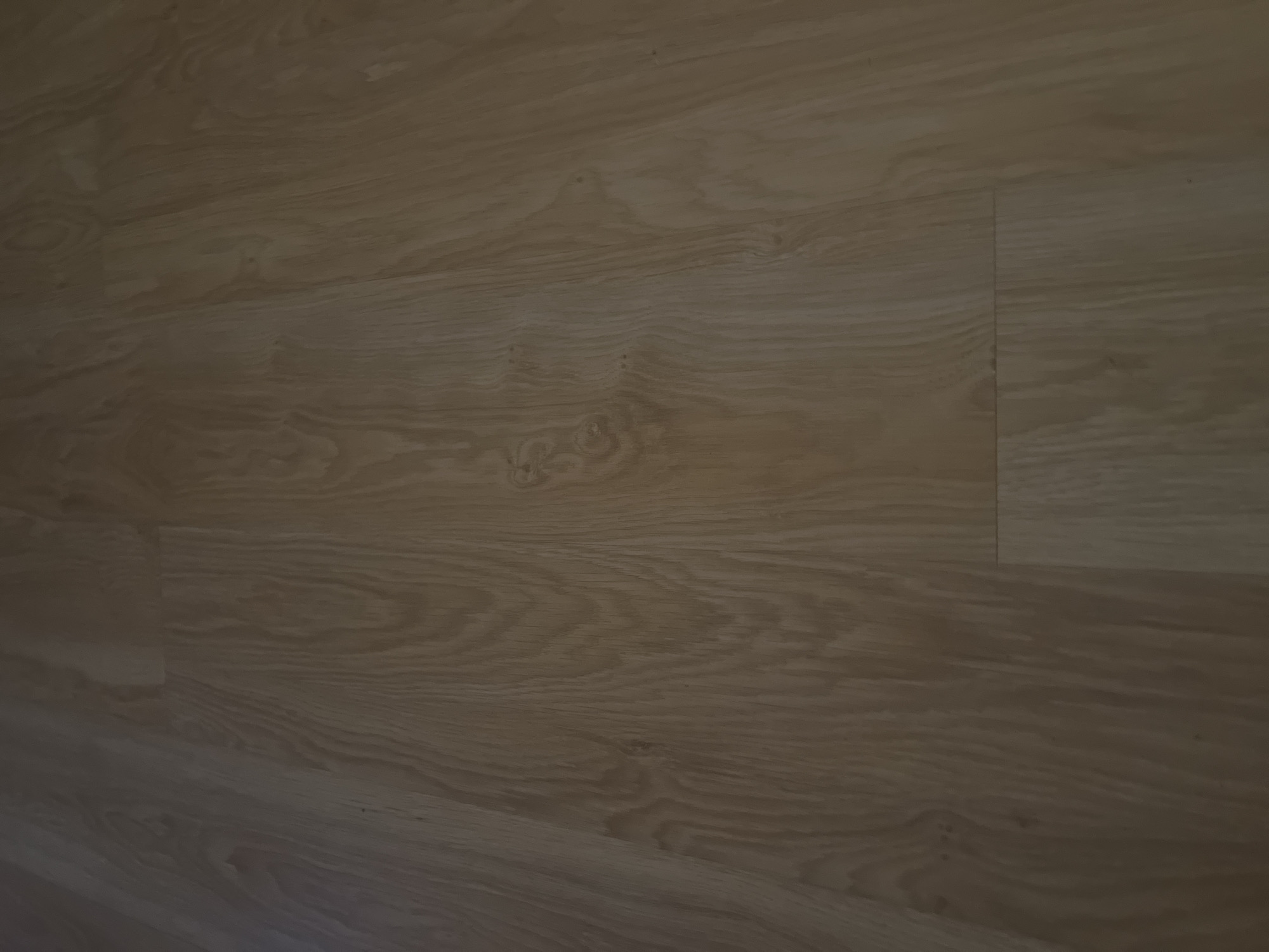 The image shows a close-up view of a light-colored wood-grain floor. The planks are laid horizontally across the frame. The texture of the wood is visible, with subtle variations in color and grain pattern, including some darker knots. The lighting suggests a diffuse light source, casting soft shadows and creating a warm tone. There are no people, objects, or discernible environmental features outside of the floor itself. The location in Bobrovka, Russia, is not visually evident from the image.