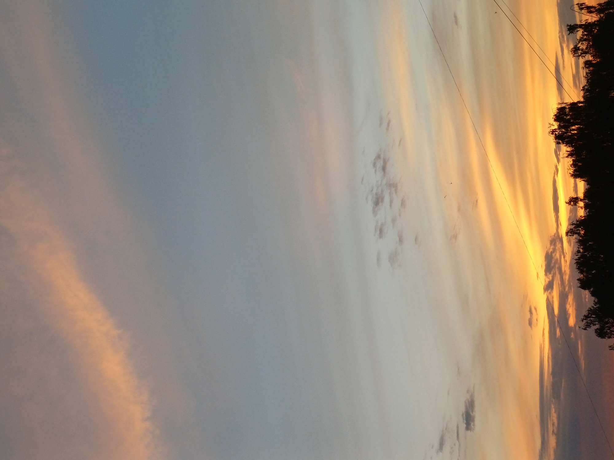This is a photograph of a sunset over a silhouetted treeline in Riga, Latvia. The sky displays a gradient of colors, transitioning from a light blue at the top to shades of orange, pink, and yellow near the horizon. Wispy clouds are scattered throughout the sky, catching the warm hues of the setting sun. Two thin, dark lines, likely power lines, are visible diagonally across the sky in the lower right portion of the image. The lower edge of the photograph shows the dark silhouettes of trees, suggesting a natural or park-like setting within the city. No people or specific landmarks are discernible.