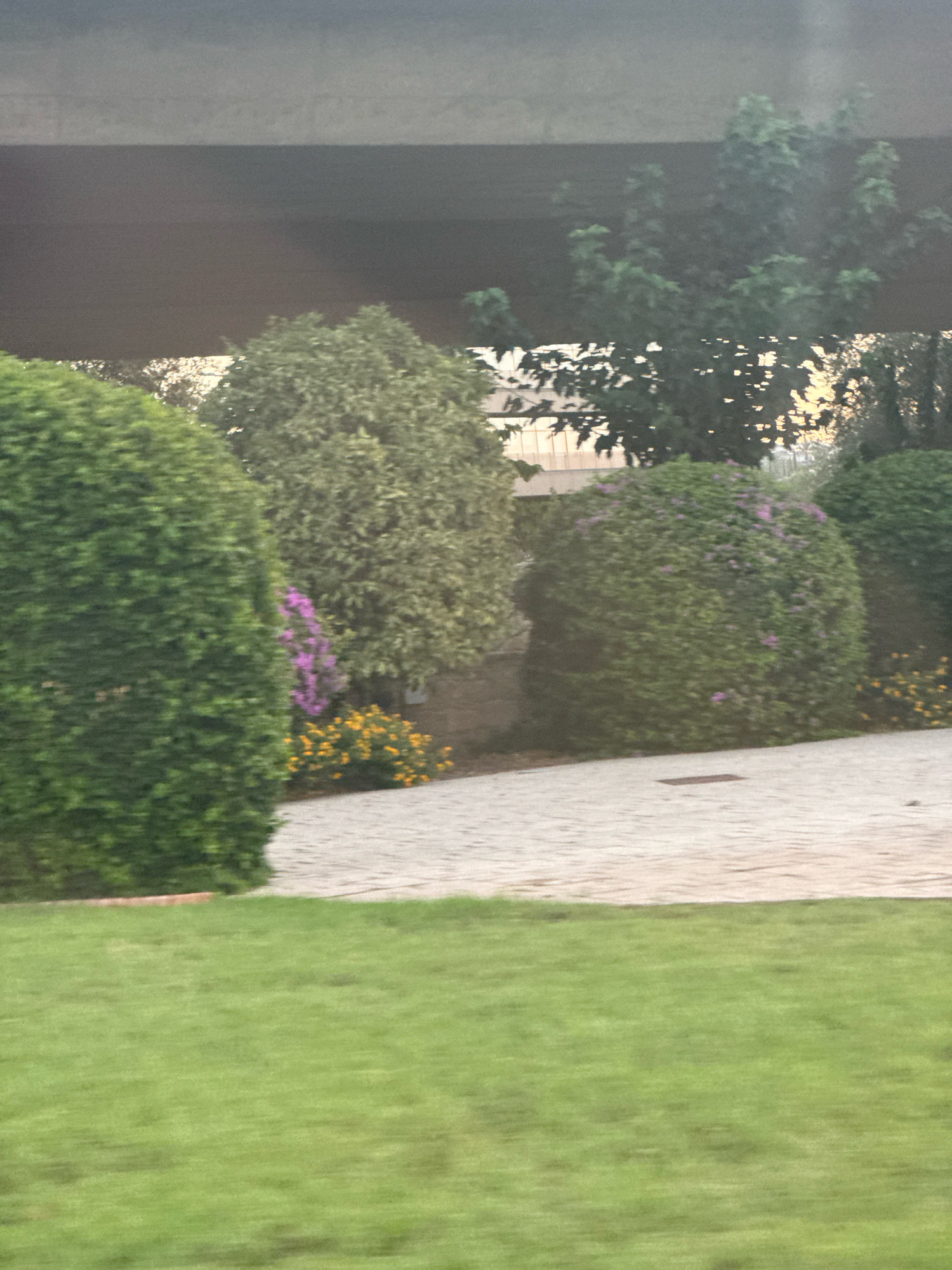 The image shows a section of a manicured garden with a paved walkway and a grassy area. In the foreground, a well-maintained green lawn occupies the lower portion of the frame. Behind the lawn is a light-colored paved walkway, likely made of interlocking stones, which curves to the right. Adjacent to the walkway are several rounded, dense green bushes or shrubs. To the left of the walkway, a large, perfectly spherical green bush is prominently featured. Further back, a cluster of smaller flowering plants with yellow blossoms and some with purple flowers are visible. Behind these, another large, rounded green shrub is present, and a taller tree with lighter green foliage stands further back. Overhead, a dark, horizontal structure, possibly a bridge or overpass, dominates the upper portion of the image. The overall scene suggests an outdoor space in a residential or public area. The location is described as Germasogeia Municipality, Cyprus, implying a Mediterranean climate context. The image is taken in daylight, with soft lighting conditions. No people or specific actions are depicted.