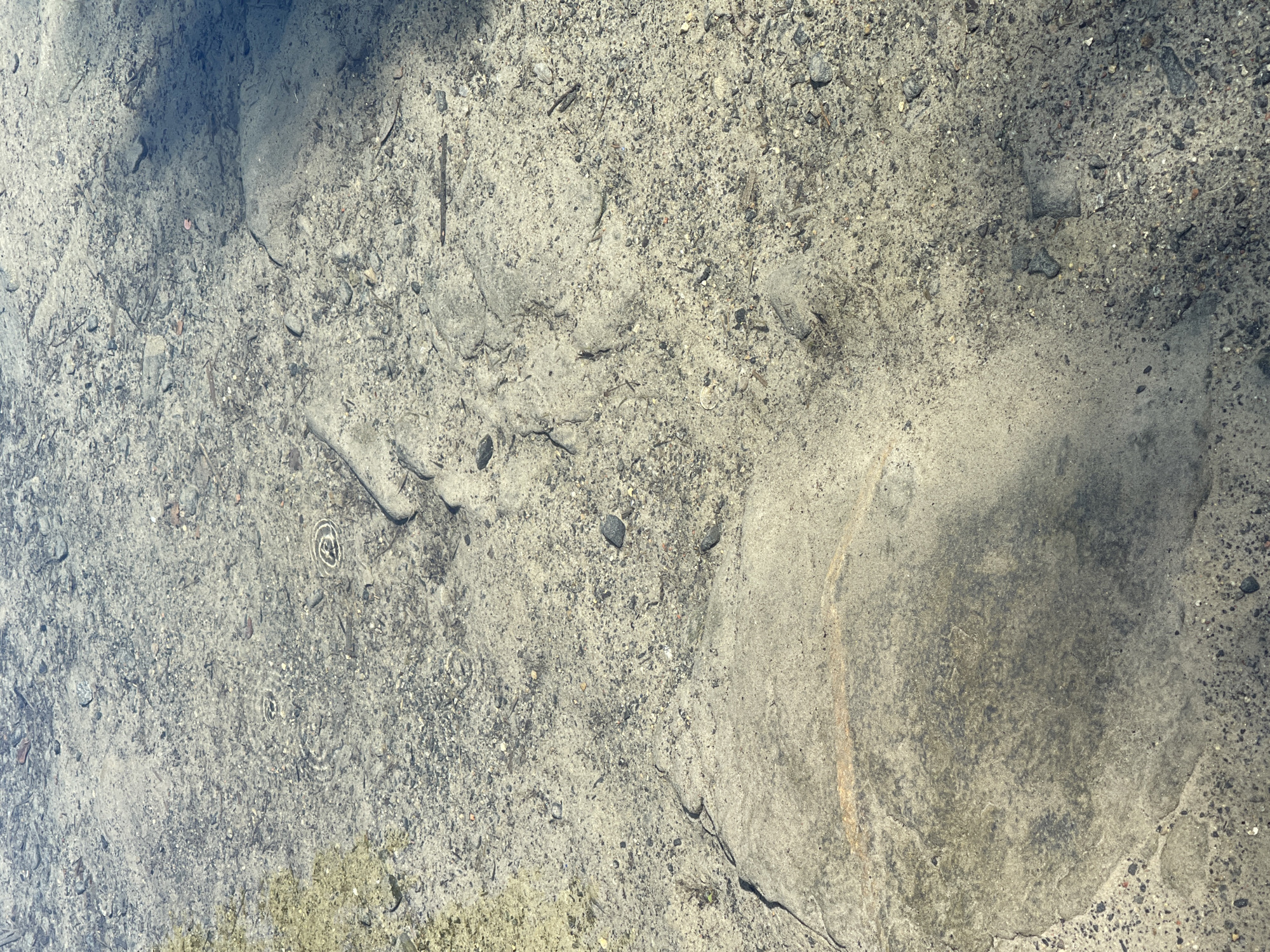 This is an aerial, close-up, forensic photograph of the shallow, sandy bottom of a body of water, possibly a river or pond, with clear water allowing visibility of the substrate. The environment appears natural, with scattered pebbles, small rocks, and some debris such as twigs and leaves visible on the sandy bottom. There are subtle indentations and undulations in the sand, suggesting the natural movement of water or perhaps the tracks of small aquatic life. In some areas, the water's surface is disturbed by ripples, indicating recent movement. A shadow, cast by an unseen object or foliage, partially covers the right side of the frame, creating a darker, blurred area. The overall scene is neutral, devoid of human activity or man-made structures, typical of a natural water feature in a less urbanized setting within Korosten, Ukraine.