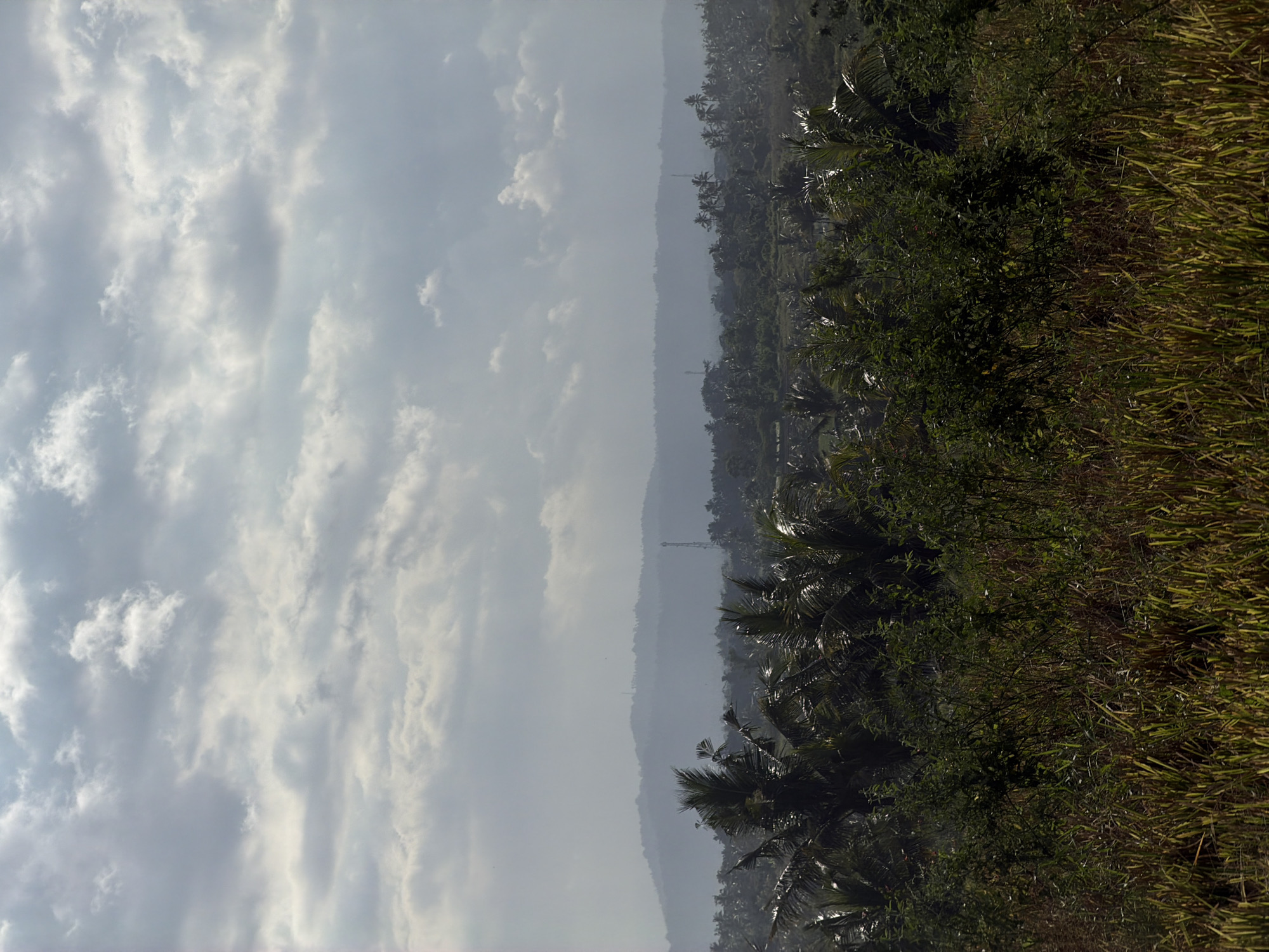 The image shows a landscape in Selemadeg Timur, Indonesia. A cloudy sky fills the left half of the image. A ridge of land is in the middle of the image, appearing hazy. Palm trees and lush vegetation cover the right side, and tall grasses are in the foreground.