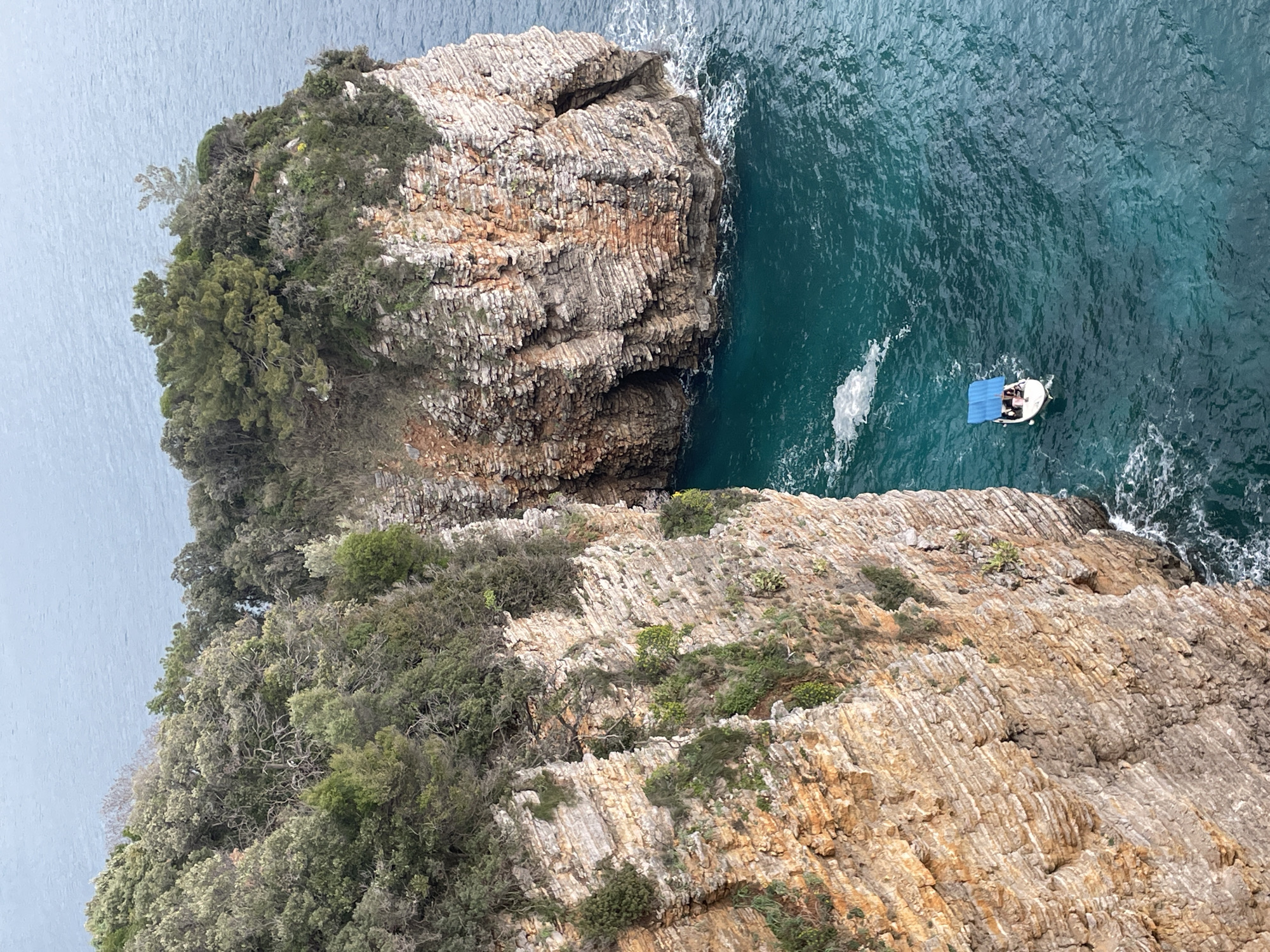 The image displays an elevated view of a coastal scene in Budva, Montenegro. Two prominent, stratified rock formations define the foreground and mid-ground, separated by a channel of turquoise-colored seawater. The left formation is a sheer cliff face composed of horizontal layers of light brown, beige, and grey rock, with sparse green vegetation clinging to its surfaces. The right formation is a smaller, tree-covered rocky outcrop or island, also exhibiting layered rock strata and featuring several grottoes or indentations at its base where the sea meets the rock. Dense green trees and shrubs cover the top and upper slopes of this right formation. The water is clear, appearing deep turquoise, with white foam visible at the base of both rock structures. A small, white motorboat with a deployed blue fabric canopy is situated in the water channel, positioned towards the lower left. The boat is in motion, generating a visible white wake behind it. Multiple human figures are discernible seated under the blue canopy within the boat.