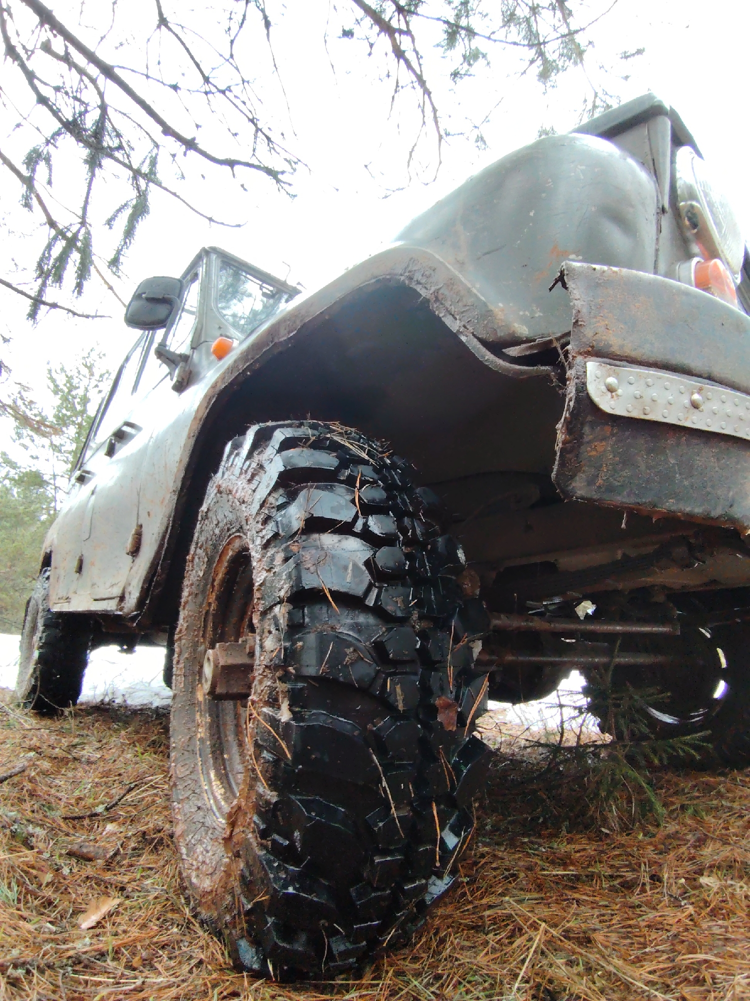 The image presents a rugged, olive-green off-road vehicle, likely a UAZ, captured from a low, upward-looking perspective. The focus is on the rear passenger-side wheel and fender, which appear heavily soiled with mud, grime, and pine needles, indicating recent traversal through challenging terrain. The large, knobby off-road tire is distinctly visible, caked with natural debris.
The vehicle shows clear signs of wear and tear: the rear fender is visibly damaged with rusted, bent metal and a tear, and part of a mudflap, secured by rivets, is present. The body panels are dirty and appear dented and scratched. Above the vehicle, bare tree branches stretch against an overcast, bright sky, suggesting a cool or cold environment. The ground beneath and around the vehicle is covered in dry pine needles and foliage, indicating a wooded, natural setting in Markovskii, Russia.
The vehicle appears stationary, consistent with either having just completed an off-road journey or being paused in a rugged environment. The low camera angle emphasizes its robust construction and imposing tires. The overcast sky suggests daytime but without direct sunlight. No discernible text is visible on the vehicle or in the environment.
