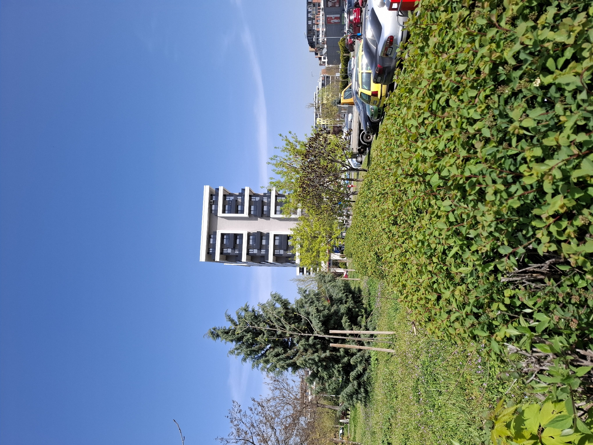 This media file captures a sunlit urban or suburban landscape in Plovdiv, Bulgaria, characterized by a clear blue sky, abundant greenery, parked vehicles, and modern architecture.
In the foreground, a dense, well-maintained green hedge, possibly a privet or spirea, runs along the right side of the frame, showing developing leaves and small buds, indicative of springtime. Below the hedge, a grassy area with some wildflowers and patches of drier vegetation extends across the lower portion of the image.
The midground features a line of parked cars on a paved surface, suggesting a parking lot or street. Vehicles include a silver sedan with a discernible Bulgarian license plate "P0056 AH", a bright yellow taxi, and several other cars of various colors. Behind the parked cars, a row of trees is visible. These include deciduous trees with fresh, light green foliage and a prominent, tall evergreen conifer, likely a cedar or spruce, which is supported by three wooden stakes.
Further into the background, a modern multi-story building stands out with its light-colored facade, multiple balconies, and dark-framed windows. Other buildings and structures are partially visible in the distance, hinting at a bustling urban environment.
The sky, occupying a significant portion of the image, is a vibrant, clear blue with only a few faint, wispy cloud streaks. The bright, strong illumination suggests it is daytime, likely late morning or early afternoon, under sunny weather conditions. No people are visible, and no specific activity or event is taking place, contributing to a tranquil and static atmosphere. The only visible text is the license plate "P0056 AH" on the silver car.
