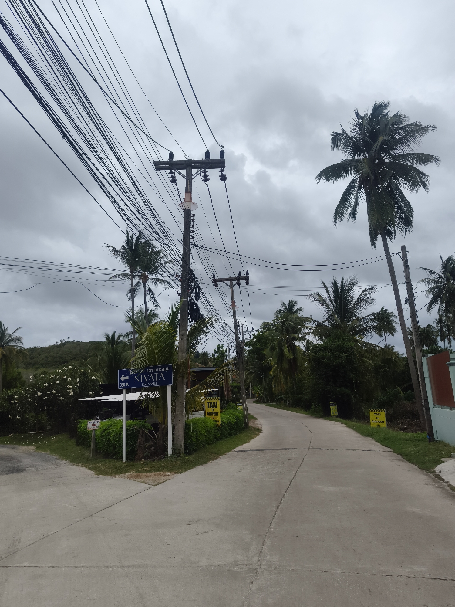 The image captures a road in Ko Samui District, Thailand, under a cloudy sky. A paved road curves to the right, flanked by lush green vegetation and palm trees. Several utility poles with a dense network of overhead wires are visible. A blue signpost with white text reads "NIVATA KOH SAMUI" and indicates "350 M." with an arrow pointing left. To the right of the road, a yellow sign with a taxi symbol and the word "TAXI AIRPORT" is present. The scene appears to be a semi-rural area, possibly leading to accommodation or a transportation hub. There are no people visible in the image.