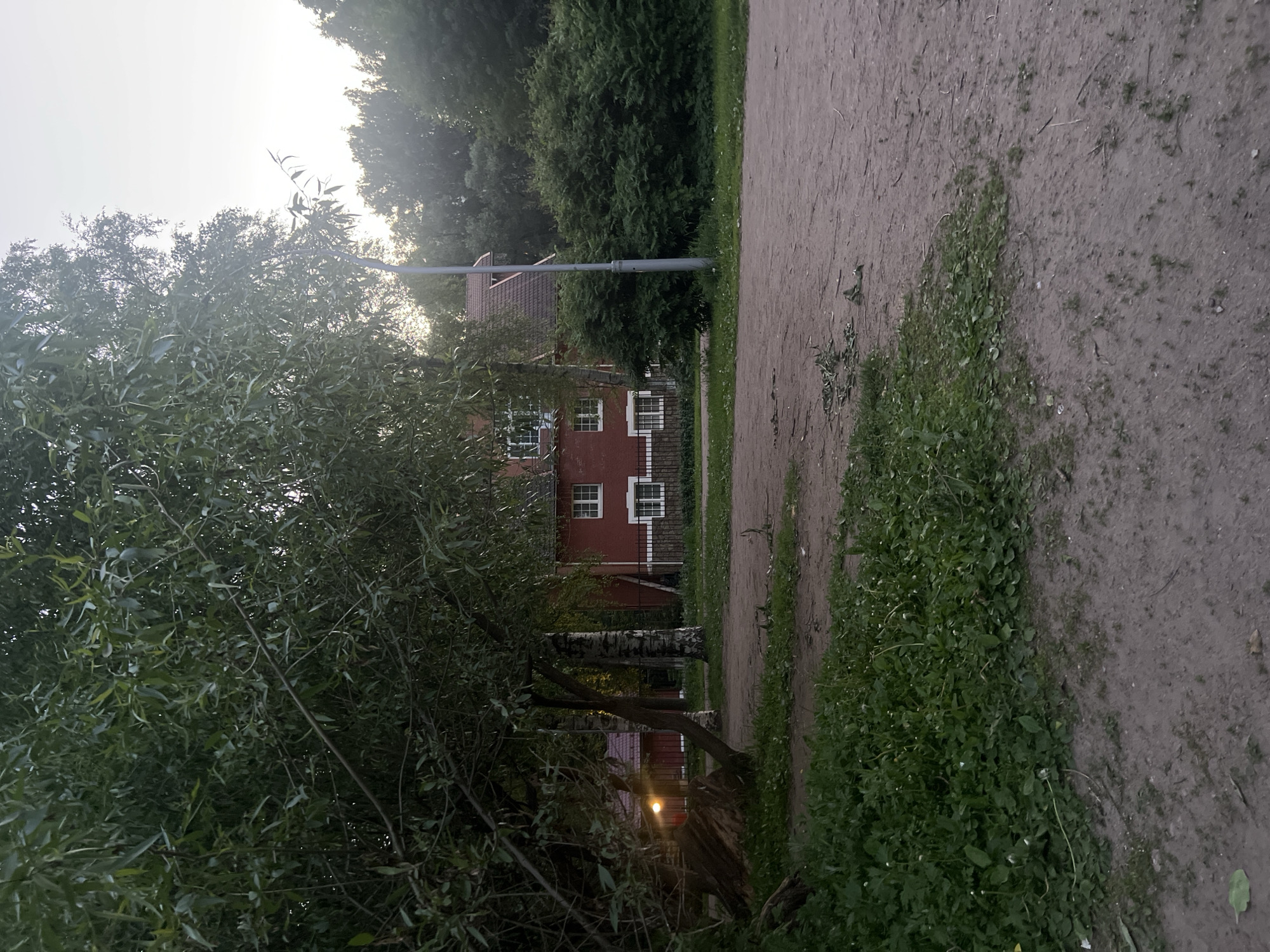This image captures an outdoor scene in the city of Unknown, Russia, under dim, ambient lighting, characteristic of either dusk or dawn. The foreground is dominated by an unpaved dirt path, mottled with patches of green grass, weeds, and scattered organic debris including small branches and leaves. A substantial tree with dense, dark green foliage occupies the left side, partially obscuring the view. To its left, a large tree stump rests on the ground.
In the mid-ground, a two-story red brick building with a dark, sloped tiled roof is centrally positioned. This building features multiple white-framed windows. A black metal fence with decorative elements delineates the front of the property. To the left of the red building, a smaller structure with a dark roof is partially visible behind trees, emitting a bright, warm orange light. Two trees with distinctive light-colored bark stand between the foreground foliage and the main red building. To the right of the red building, a tall, slender grey utility pole extends vertically. Behind the utility pole and further to the right, a dense thicket of green bushes and trees forms a substantial green wall. The background consists of a light grey sky, with a distant line of dark green trees forming the horizon on the right. No human or animal figures are present in the scene.