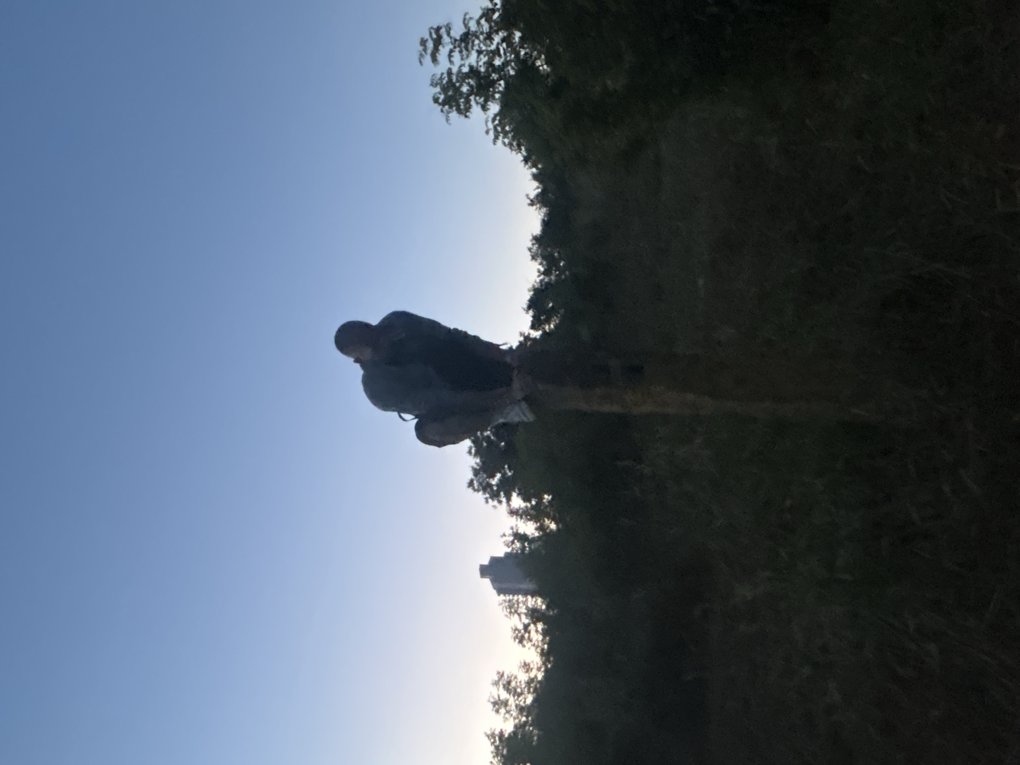 A low-angle, full shot captures a person crouched on top of a wooden post in a grassy, overgrown area at dusk. The person, wearing dark clothing and sneakers, is silhouetted against a clear, pale blue sky. Behind them, a dense line of dark green trees and bushes stretches across the horizon. In the far distance, a tall, slender, light-colored building, possibly an apartment complex or office building, is visible above the trees, indicating an urban or suburban environment. The lighting suggests the time of day is shortly after sunset. The scene appears to be located in the area of Burgas, Bulgaria, given the distinct skyline visible in the background.