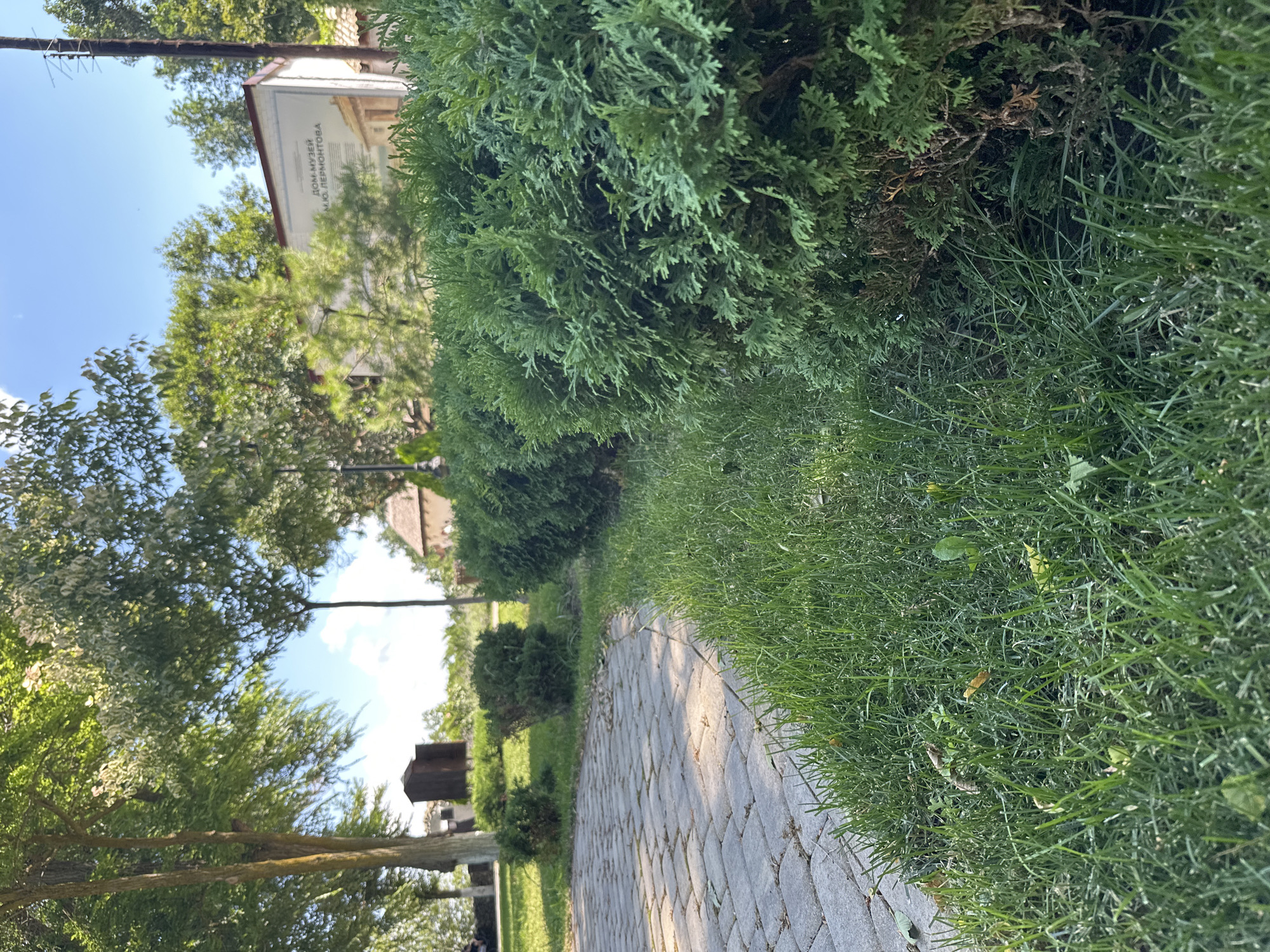 In Taman, Russia, a paved walkway curves through a grassy area lined with manicured evergreen bushes. In the background, a white building displays text in Cyrillic, and beyond that, trees and a traditional roofline are visible under a blue sky with scattered clouds. The scene appears to be a park or a museum grounds.