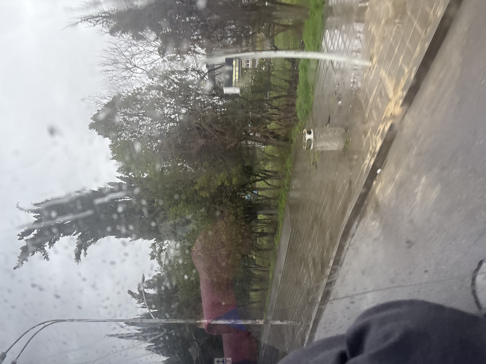 The image, taken from behind a rain-streaked window, shows a street scene in Burgas, Bulgaria. A sidewalk paved with gray tiles runs parallel to a wet asphalt road. A line of trees separates the sidewalk from a grassy area. A street sign is visible amidst the trees. A person wearing a burgundy top with blue accents is partially visible through the window, with a gray garment in the foreground near the bottom right of the image. In the background the sky is overcast. A lamp post is visible on the left side of the image.
