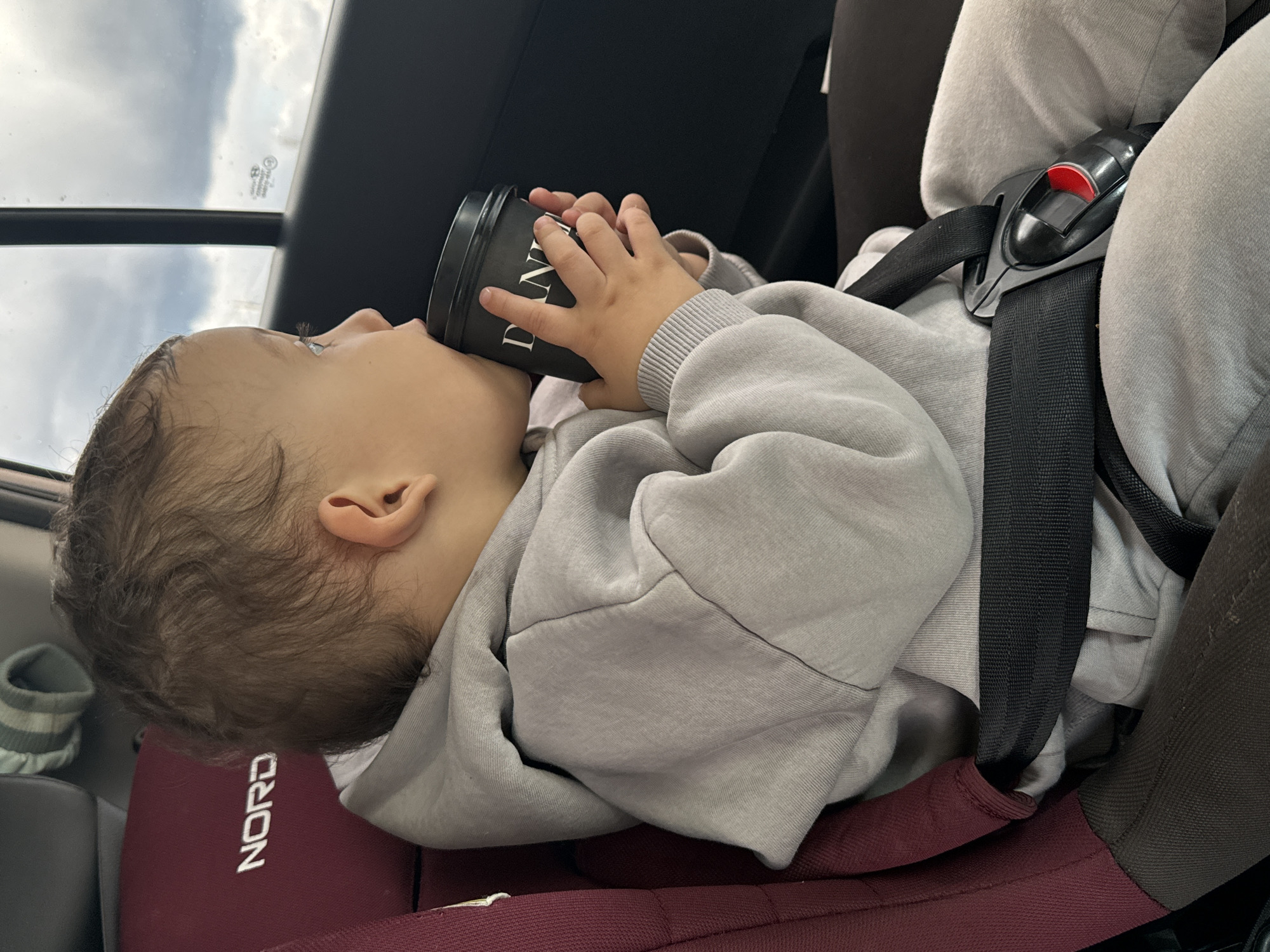 A young child is seated in a car seat within a vehicle, seen from a slightly elevated, side-on perspective as if looking down at the child. The image is rotated 90 degrees, making the child appear to be lying on their back. The child, with light brown, wavy hair, is wearing a light grey hooded sweatshirt and is actively drinking from a black travel mug or sippy cup, holding it with both hands. Part of the white text "DAN" is visible on the cup.
The child is secured in a maroon-colored car seat with a black harness system; the brand name "NORD" is visible in white lettering on the headrest area of the car seat. A black seatbelt buckle with a red release button is visible across the child's lap. Through the car window above the child's head, an overcast sky with light clouds is visible, suggesting daytime. The car's dark interior headliner and window frame are also present. The scene captures a quiet moment of the child hydrating while traveling, likely in Chaikovsky, Russia. No specific emotions are discernible on the child's face due to the cup, but the posture suggests calmness. Small, illegible text or markings are faintly visible on the car window glass.