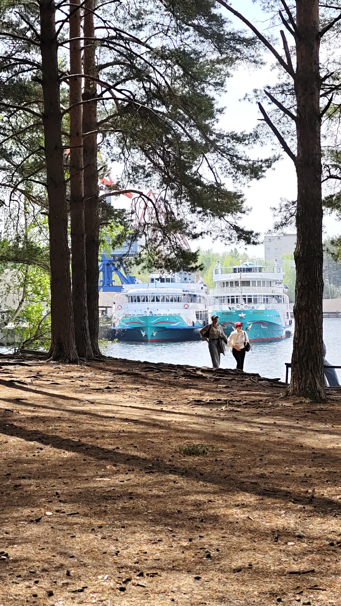 A medium shot captures a waterfront scene in Chaikovsky, Russia, featuring several tour boats docked on a body of water, likely the Kama River or a reservoir. The boats have a distinctive turquoise and white color scheme. Two people are walking near the water's edge: one wearing neutral tones and the other wearing a white top, black pants, and a red hat. The foreground is dominated by a wooded area with tall pine trees, casting shadows on the ground covered in pine needles. A glimpse of buildings is visible in the background. A large crane is also visible. A person sits on a bench to the right of the image.