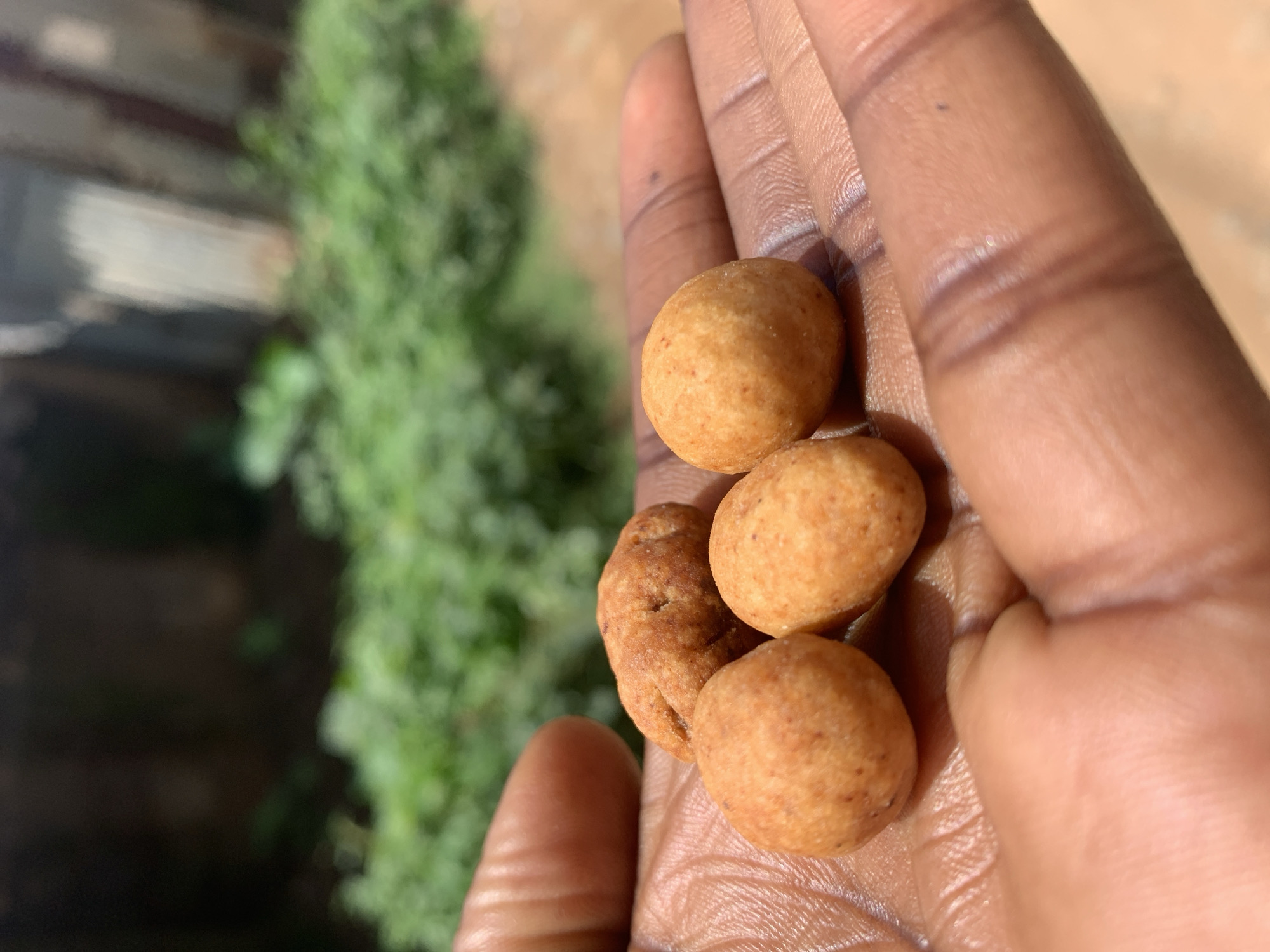 The image presents a detailed close-up of an open human hand, observed from an eye-level perspective in Rafin Par, Nigeria. The hand displays a medium-dark brown skin tone with discernible palm lines and epidermal texture. Situated within the palm are four individual food items. These items are uniformly light golden-brown in coloration. Three are roughly spherical to ovoid in shape, measuring approximately 2-3 cm in diameter, while the fourth, positioned centrally, is more irregularly elongated. Each item exhibits a visibly textured, slightly uneven surface. The background is significantly out of focus, rendering green vegetation and blurred earthen tones in natural daylight, indicative of an outdoor setting.
