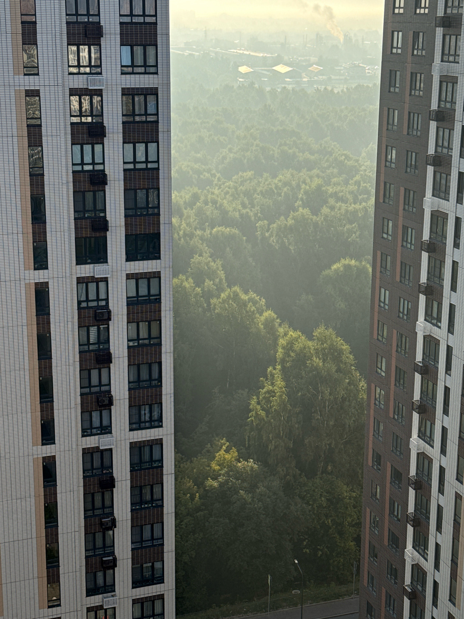 An aerial view captures a hazy morning over Tomilino, Russia, with two residential buildings framing a dense, green forest. The building on the left, clad in white and beige tiles, features numerous windows and air conditioning units. The building on the right, with a dark brick facade, also has many windows and small balconies. In the distance, industrial structures emit a plume of smoke into the misty sky, indicating urban or industrial activity. A street with a single lamppost runs along the base of the buildings. The overall atmosphere is subdued, characterized by the soft light and pervasive haze.