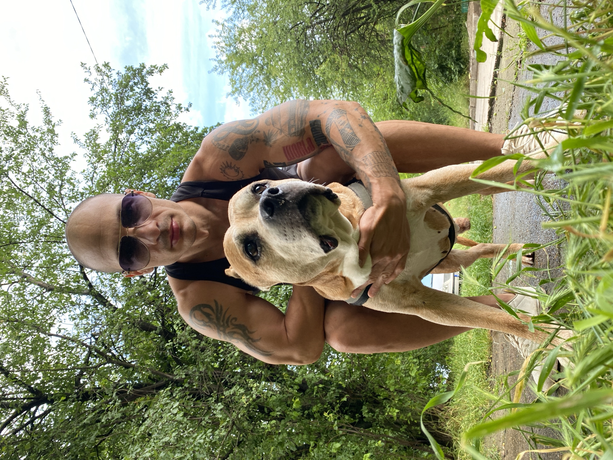The image, rotated 90 degrees clockwise, captures a man and a dog outdoors from a low-angle perspective, looking up towards the sky and tree canopy.
**Subjects:** The central figures are a bald, muscular man and a medium-sized dog. The man wears aviator-style sunglasses and a black tank top, revealing extensive tattoos across his arms, shoulders, and torso. He is crouching down, holding the dog close. The dog, with light brown and white fur, possibly a Pit Bull or similar breed mix, has a dark collar/harness and is looking slightly upward, away from the camera.
**Activity:** The man is engaged in an affectionate interaction with the dog, holding it in a tender manner.
**Setting:** The background features abundant green deciduous trees and a bright, partly cloudy sky, indicating a natural outdoor environment. The foreground and ground area include green grass and some taller wild grasses, while a paved or gravel path/road is visible along the right side of the frame. This scene suggests a park or a natural, perhaps slightly unkempt, area, consistent with a location in Pleven, Bulgaria.
**Notable Details:** The image is taken in bright daylight. Prominent tattoos on the man include the clearly visible word "WORLD" in block letters on his right torso. The word "TRUMP" is also discernable on his right bicep. The overall mood conveyed is calm and affectionate.