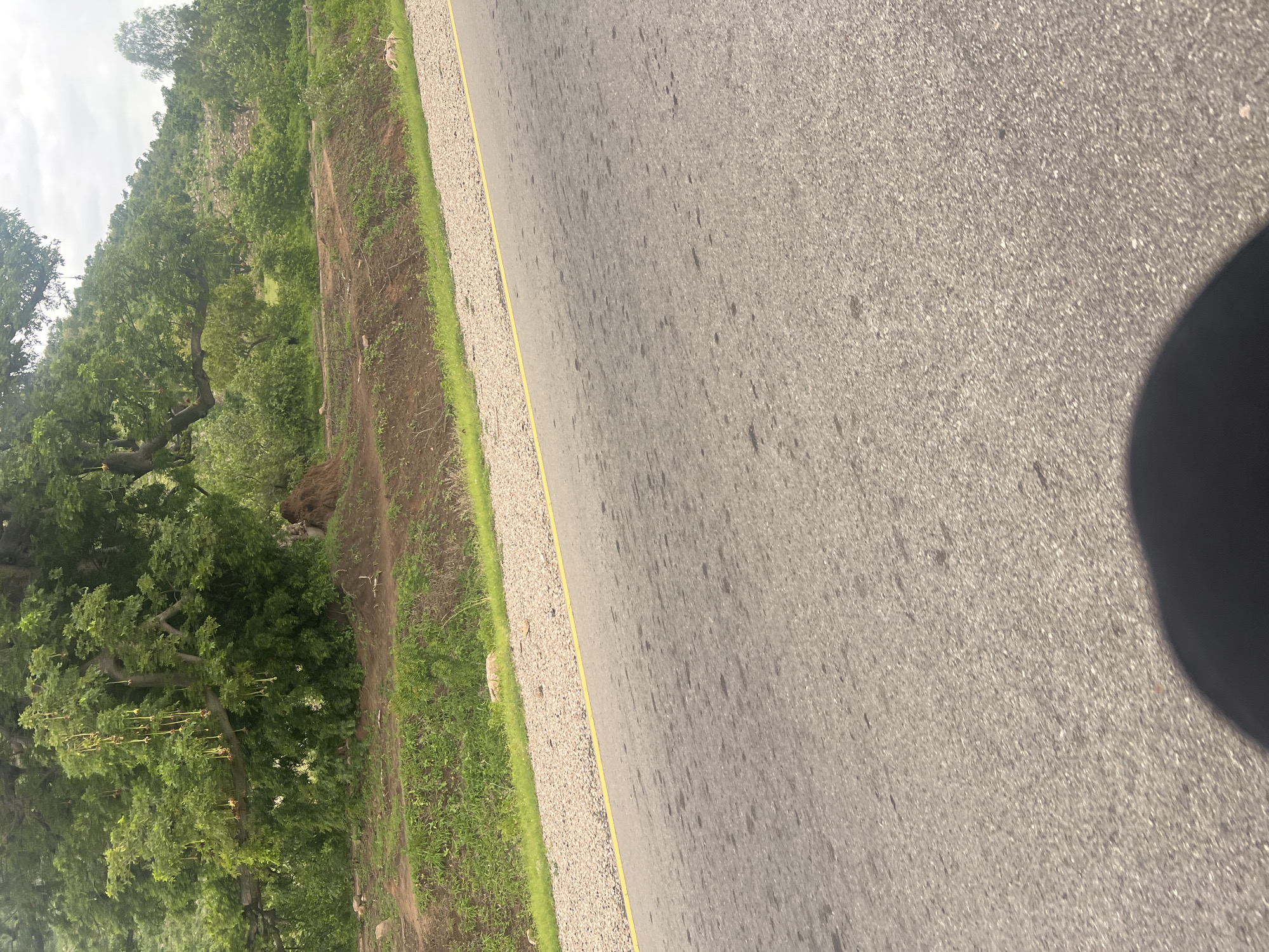 The image depicts a roadside scene in Minda, Nigeria. The foreground is dominated by a paved road with a yellow line marking its edge. The road surface is textured and appears somewhat worn. To the left of the road is a gravel shoulder, followed by a strip of green grass and then a sloping embankment covered in vegetation. Further to the left, a dense canopy of lush green trees covers a hillside. The trees are varied in size and shape, with some appearing mature and spreading. The overall impression is of a natural, rural environment bordering a road.
The scene appears to be captured during the daytime, with the lighting suggesting overcast or slightly cloudy weather, as there are no harsh shadows. The perspective is from a low angle, possibly from a vehicle traveling along the road, indicated by the partial shadow of what might be a vehicle or person on the right side of the road.
No people or specific objects are clearly identifiable in the image, beyond the natural elements and the road. The activity taking place is implied to be travel or observation from the roadside. There is no visible text in the image. The scene evokes a sense of tranquility and the natural beauty of the Nigerian landscape.