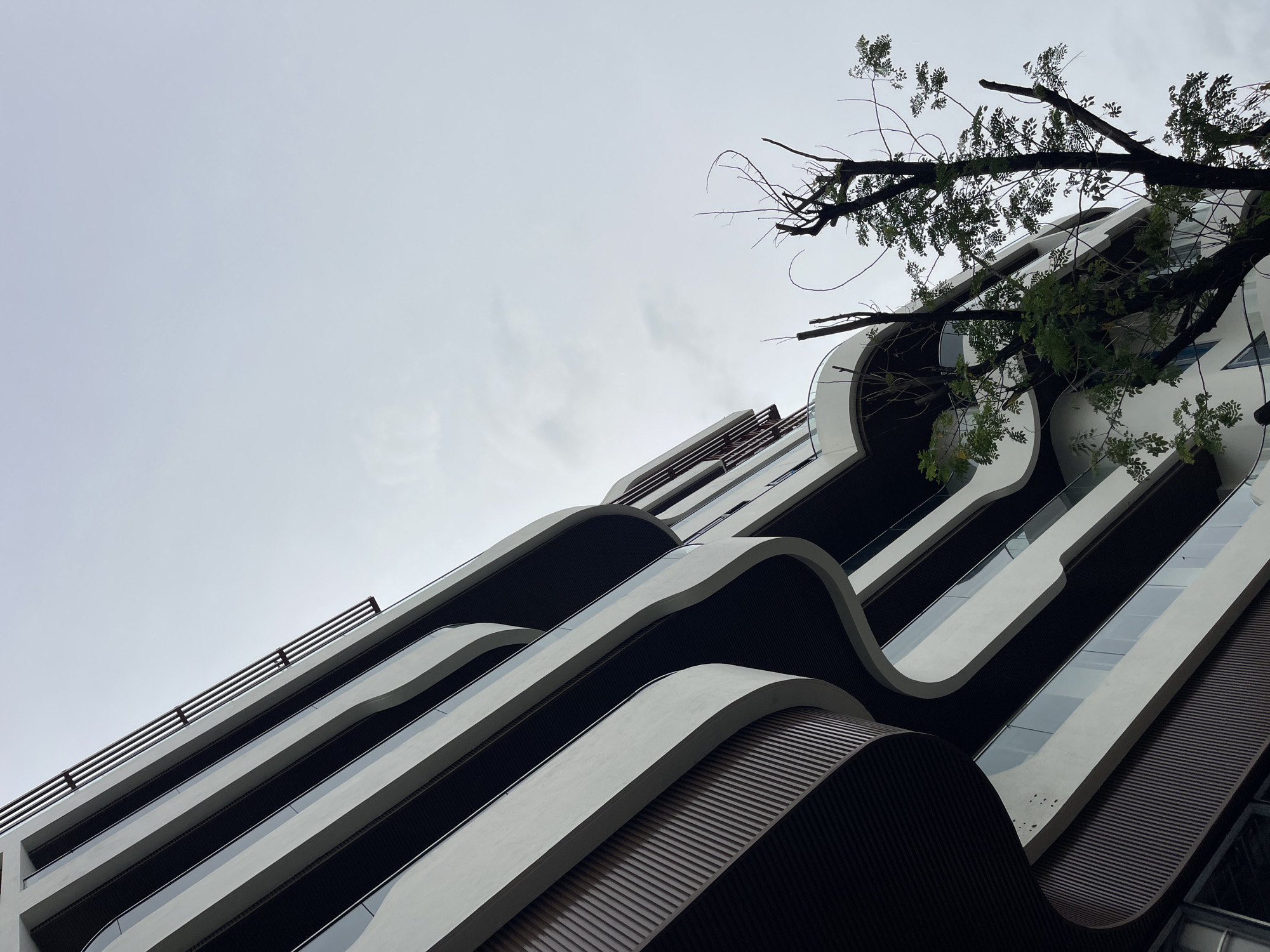This image depicts a low-angle view of a modern building with curved balconies in Da Nang, Vietnam. The building features white curved walls with dark undersides and ribbed wooden panels. Glass railings line the balconies. A tree with sparse green foliage and bare branches is situated in the foreground, partially obscuring the building. The sky is overcast and light grey, suggesting a cloudy day. There are no people visible in the image.