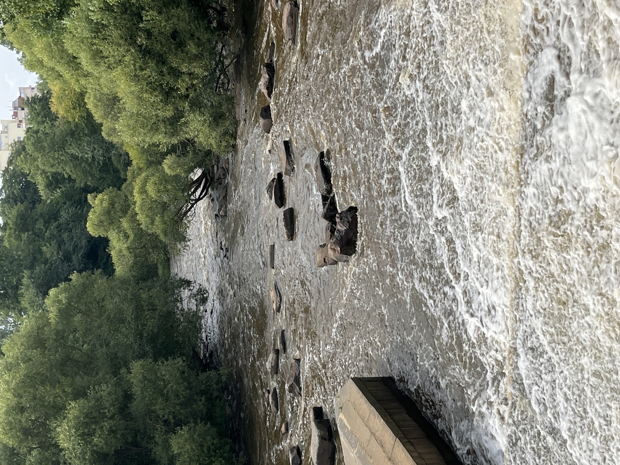 This is a medium-angle, eye-level, full shot photograph of the Sestroretsk River in Sestroretsk, Russia. The river is flowing rapidly, with white foam and turbulence visible in the foreground, suggesting a small waterfall or rapids. Scattered rocks and stones emerge from the murky brown water. On the left bank, a concrete structure, possibly a quay or embankment, is visible. Dense green trees line both banks of the river, with their branches reaching towards the water. In the background, beyond the trees, a few light-colored buildings are partially visible, suggesting the presence of a city or town. The sky is overcast, contributing to the muted light of the scene. No people are present in the photograph.