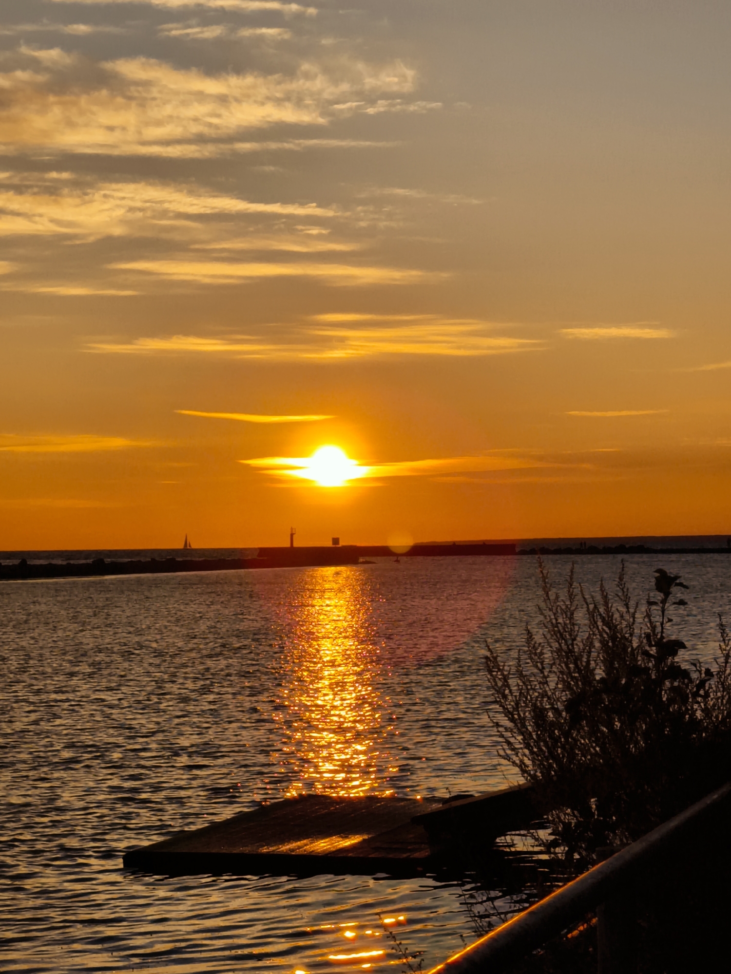 The image depicts a sunset over a body of water, likely the Baltic Sea, with a distant horizon line. The sun, a bright orb, is partially obscured by wispy clouds and casts a golden reflection on the rippling water. A dark silhouette of a breakwater or pier extends into the water, with a small lighthouse-like structure visible on it. To the far left, a tiny sailboat is discernible. In the foreground, on the right, a dark silhouette of vegetation and a railing are visible. The sky transitions from a bright orange near the horizon to a paler yellow and gray higher up. The scene evokes a tranquil, natural setting at dusk.
Given that Tallinn, Estonia, has a coastline along the Baltic Sea and is known for its picturesque sunsets and harbors, this image could plausibly be taken from the Tallinn coastline, possibly near the harbor or a coastal park, such as Pirita or Lennusadam. The presence of a breakwater, lighthouse, and the general seascape are consistent with such locations.