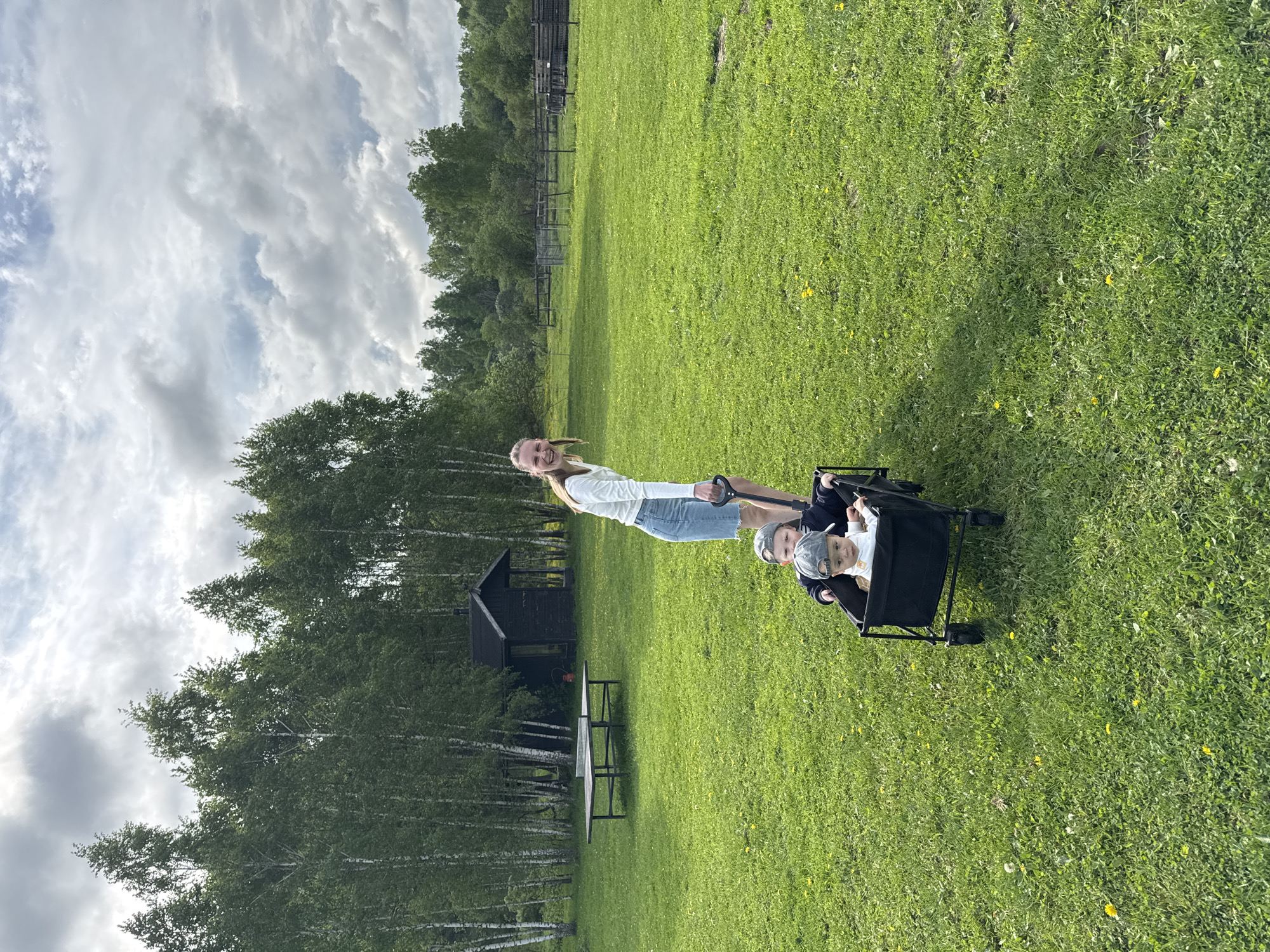 The image shows a woman pulling a black wagon with two young children in it across a grassy field. The sky is cloudy, and there are trees and a small shed in the background. A picnic table is visible to the left of the shed. The location appears to be a park or recreational area. The city of Prudki, Russia, is identified as the location.
