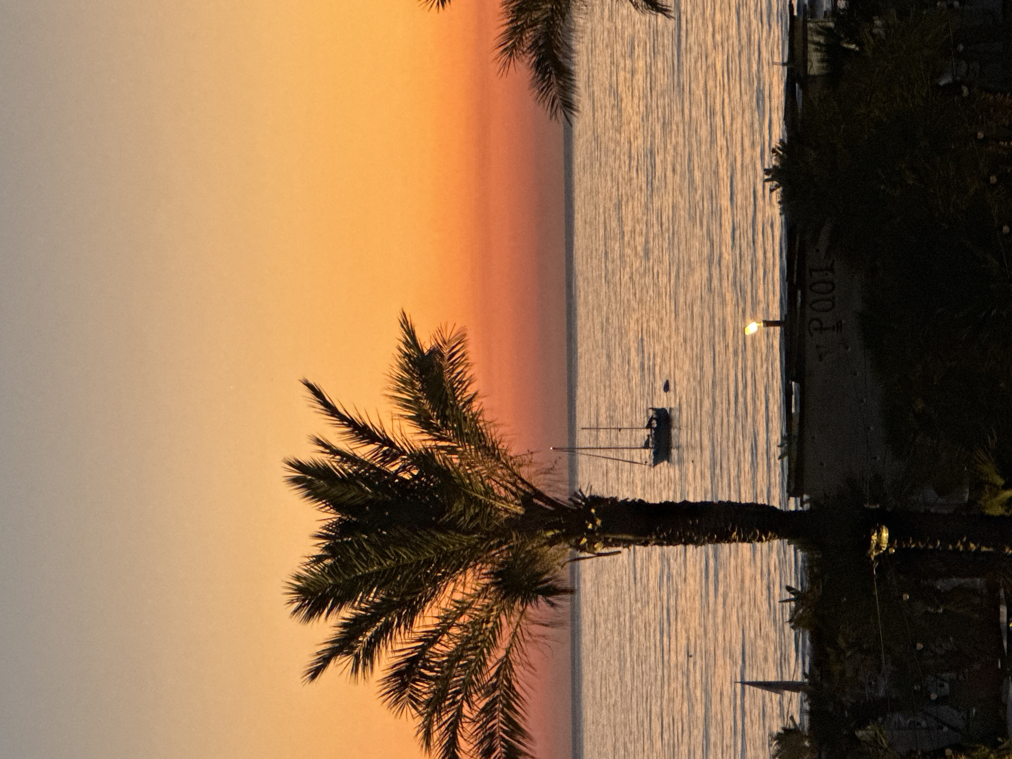 A vertical, eye-level shot shows a sunset over the sea, with palm trees in the foreground and a sailboat in the distance. The sky transitions from a light grey at the top to a vibrant orange and then a reddish hue near the horizon. The sea reflects the colors of the sky, creating a shimmering effect. A single sailboat is visible on the water, its sails furled. In the foreground, a large palm tree is silhouetted against the sunset. Part of a building with the word "POOL" visible is in the lower portion of the image, along with some dark foliage. The scene is likely located in Isola delle Femmine, Italy, given the coastal setting and palm trees, suggesting a Mediterranean ambiance.