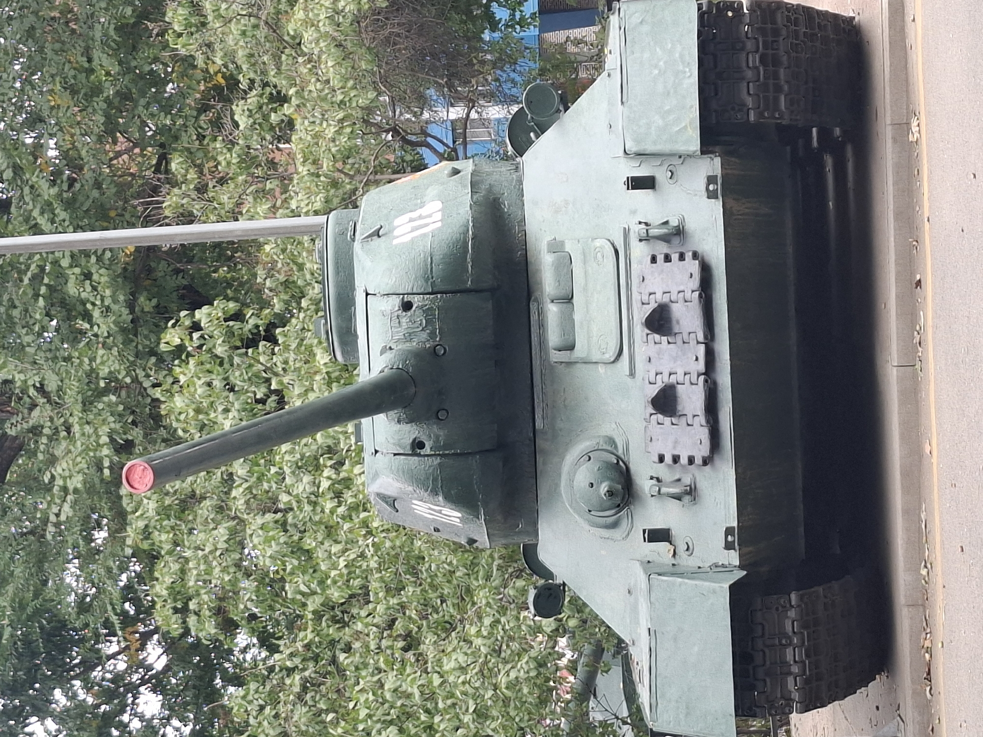 A green Soviet-era tank, likely a T-34 model due to its distinctive turret shape and hull, is displayed outdoors in Almaty, Kazakhstan. The tank faces directly towards the camera and is positioned on a concrete base, adjacent to a paved road and a sidewalk. Lush green foliage from trees forms the background, with hints of buildings, including a blue-sided structure with windows, visible through the leaves. The tank's cannon is elevated, and its barrel has a red cap. White numerals, "113", are painted on the turret. The tank shows signs of weathering and age. There are no people visible in the image.
