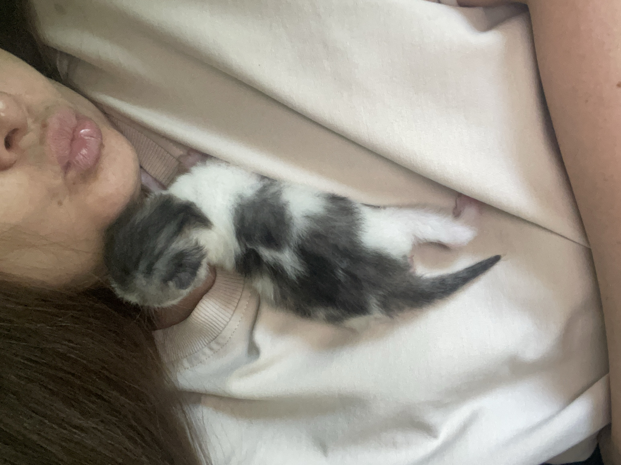 This is a close-up, overhead shot of a person's chest and neck, with a newborn kitten nestled against their skin. The person is wearing a light-colored t-shirt, and their hair, which is dark brown, is visible on the left side of the frame. The kitten is small and appears to be very young, with patches of grey and white fur. Its body is curled up, and its tail extends to the right. The person's lips are slightly parted, and their skin has a warm tone. The scene appears to be indoors, in a comfortable and intimate setting, suggesting a moment of bonding between the person and the kitten. There is no visible text in the image.