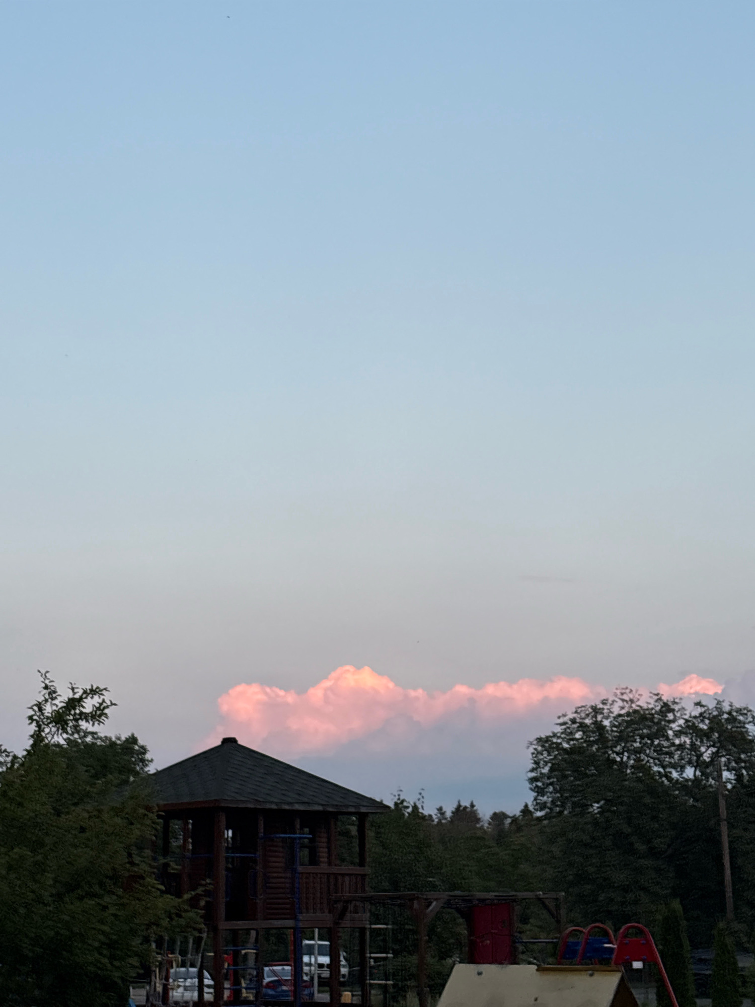 The image depicts a playground structure with a wooden tower and slide against a backdrop of trees and a softly pink sky. The playground appears to be located in an outdoor setting. The scene is static with no people or animals visible. The lighting suggests it may be late afternoon or early evening. There are no visible landmarks or architectural features that would indicate the specific location within Kyiv, Ukraine.