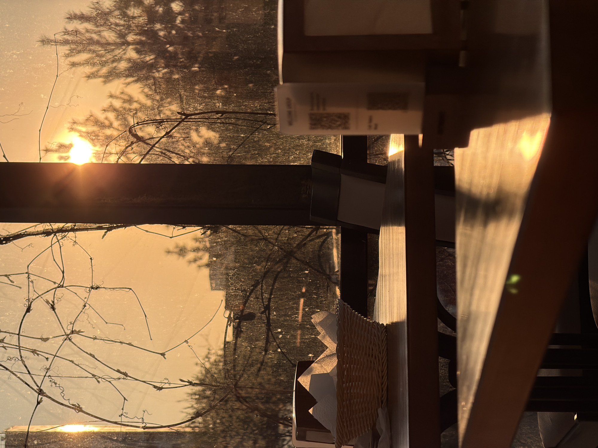 The image captures a view from inside a building in Izhevsk, Russia, looking out a window at sunset. The setting sun casts a warm, golden glow across the scene, illuminating tree branches and foliage outside the window. A building can be seen faintly in the background. Inside, a table is visible, with a napkin holder containing napkins. A small card or brochure with a QR code is placed on the table. The focus is on the interplay of light and shadow, highlighting textures and shapes within the scene.