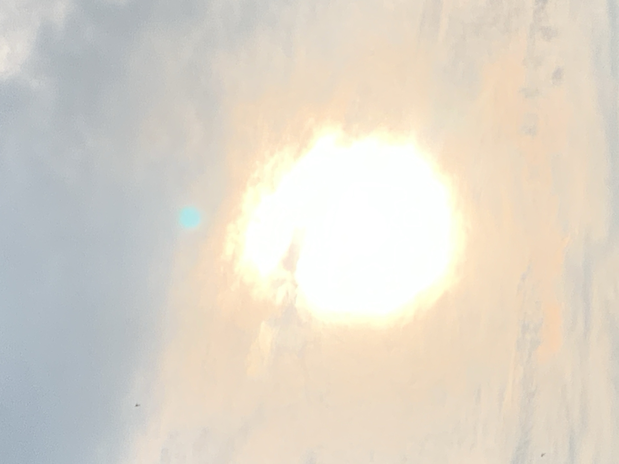 The image shows a bright, glowing sun through hazy clouds, casting a warm, orange and yellow light. A small, bright blue speck is visible in the upper portion of the sky. There are faint dark specks in the sky, one of which resembles a small bird in flight. The lower part of the image is dominated by clouds that appear light gray and slightly pinkish. There is no indication of the city of Kolomyia, Ukraine, or any specific urban features in the image.