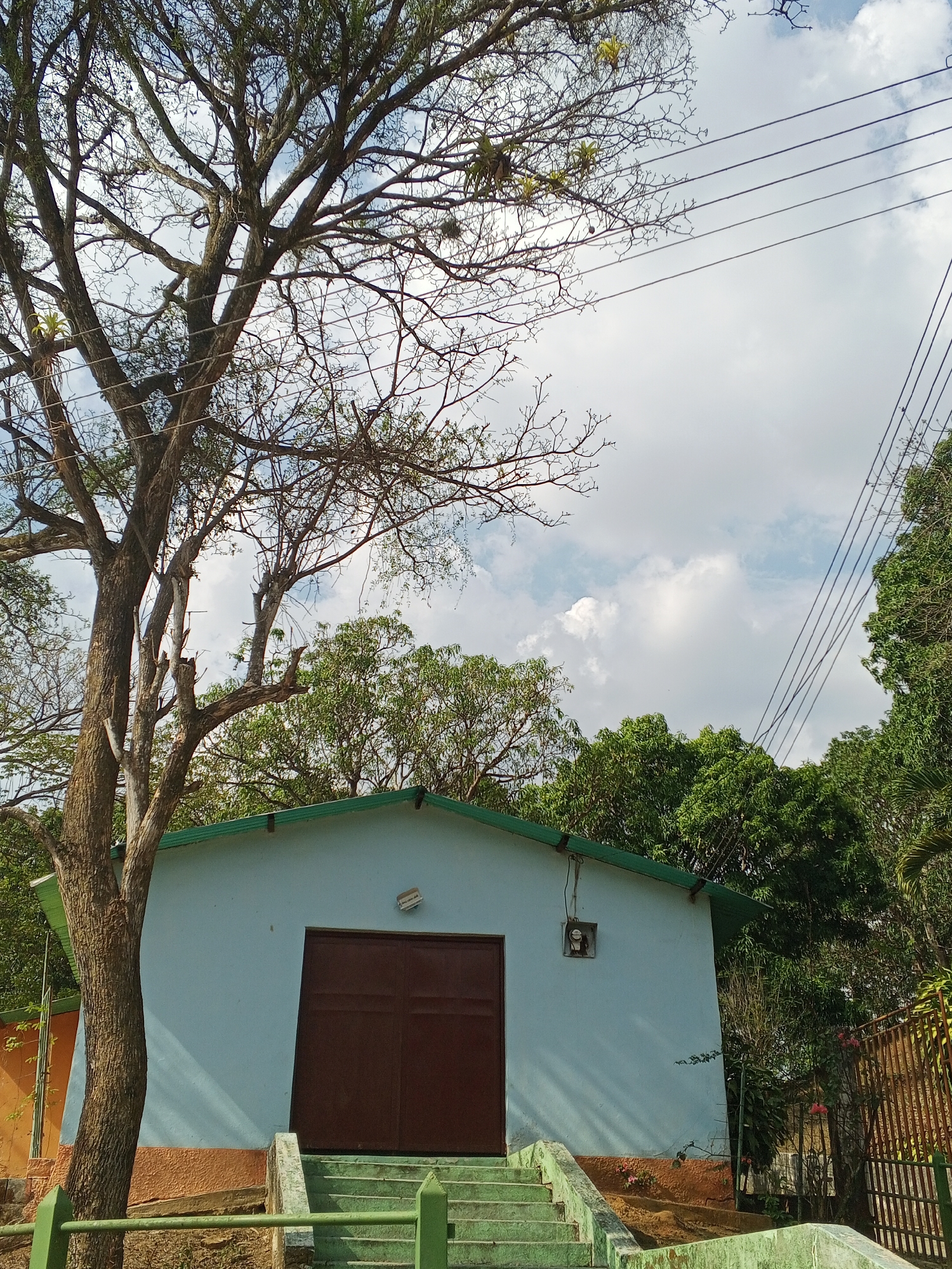 The image depicts a single-story, light blue building with a dark brown, double-door entrance, located in Tinaquillo, Venezuela. A set of green stairs leads to the entrance. The building has a green roof and is situated on a slightly elevated area with a tan base. To the left of the building, a large tree with mostly bare branches dominates the foreground. Behind the building, a mix of green trees and foliage is visible. Above, the sky is partly cloudy with power lines running across the frame. The overall scene is taken in daylight, casting shadows on the building.
