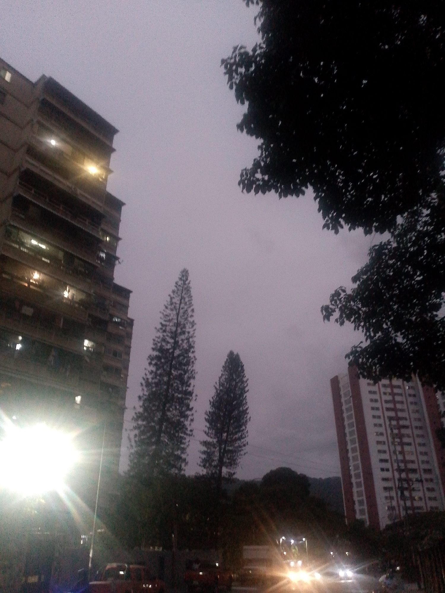 The image captures an urban scene in Caracas, Venezuela, at dusk or twilight. Tall buildings are visible on the left and right sides of the frame, with lights illuminated in some windows, indicating residential occupancy. Two prominent pine trees stand in the middle ground. The upper right corner is dominated by the dark silhouette of tree foliage. Street-level activity includes vehicles with headlights on, suggesting moderate traffic. The sky is overcast and grey. No people are directly visible in the frame.