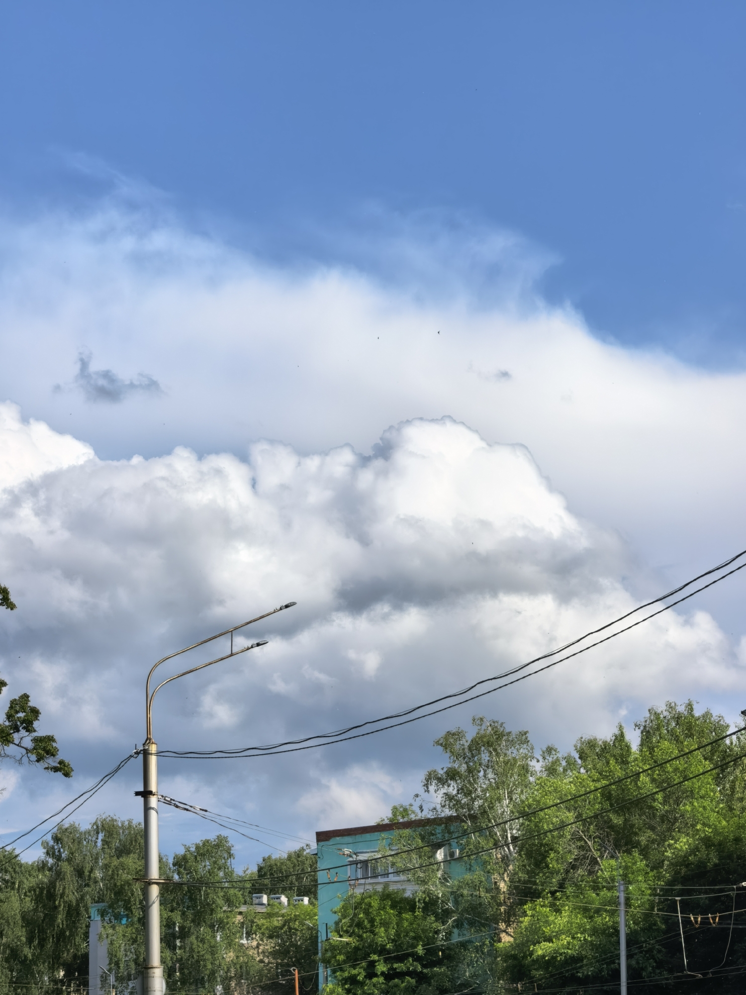 The image displays an urban landscape in Sterlitamak, Russia, characterized by a dynamic sky and foreground elements. The upper portion of the frame features a clear, bright blue sky, while the mid-section is dominated by large, dense cumulus clouds, primarily white with some grey undersides, indicating volume and depth. Small, dark, undefined specks, consistent with birds or insects, are scattered throughout the sky.
In the lower-left quadrant, a prominent metallic grey street light pole stands vertically, equipped with two curved arms extending diagonally upwards to the right, each terminating in a dark light fixture. Multiple dark electrical wires traverse horizontally and diagonally across the midground, connected to the street light pole and extending beyond the frame, partially obscuring the background.
A dense mass of green deciduous trees occupies the lower third of the image, forming a canopy behind the street light and wires. The foliage exhibits varying shades of green, with some lighter-barked trees visible. Behind the tree line, portions of multi-story buildings are discernible. On the right, a building with a distinctive turquoise or teal-colored facade and a reddish-brown roof edge is partially visible. No people or discernible activities are depicted.