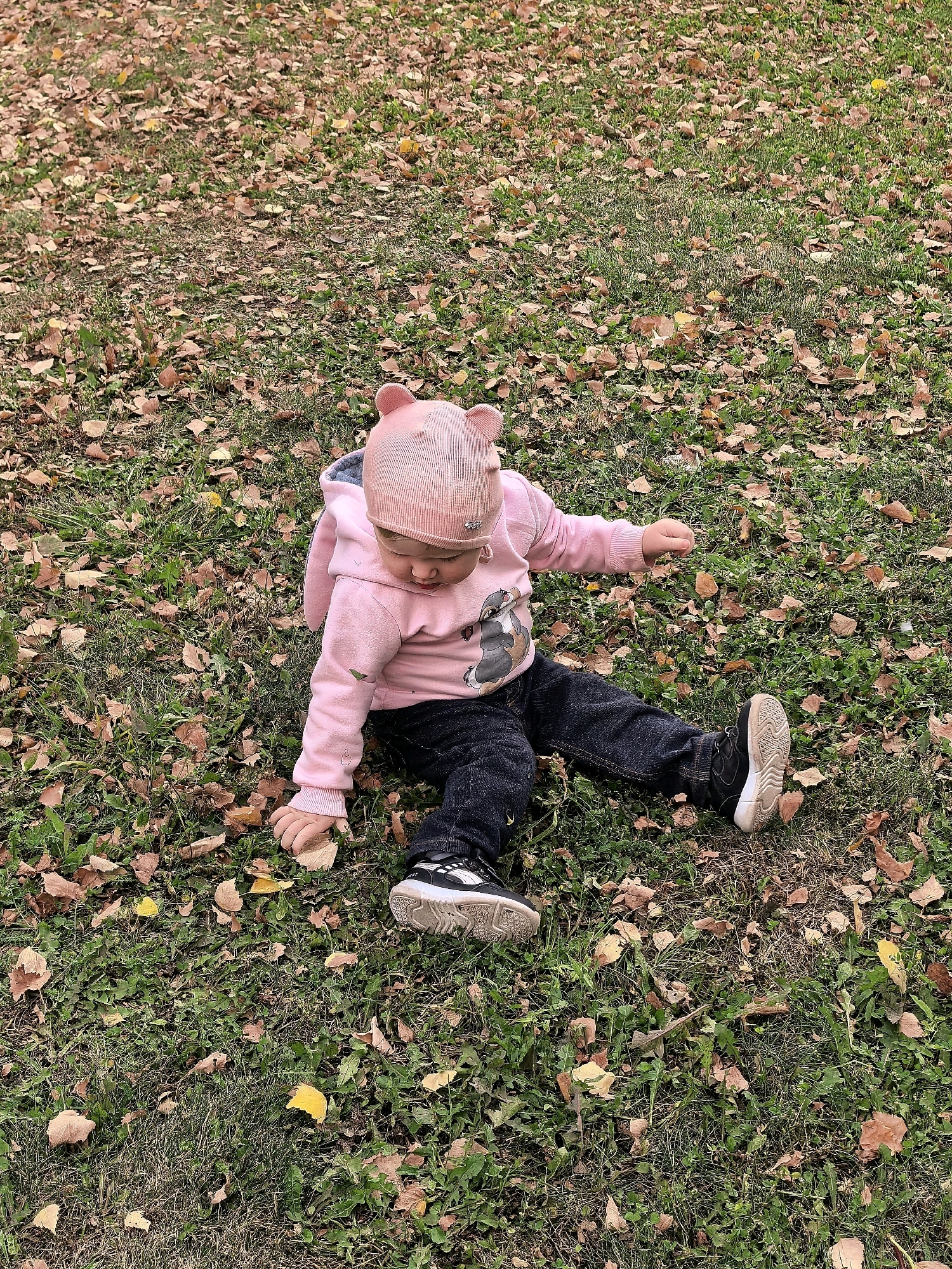 A toddler wearing a pink bear-eared hat and a pink hoodie with a graphic print is sitting on a grassy lawn covered with fallen autumn leaves. The child is looking down at their hands, which are resting on the ground. They are also wearing dark-colored pants and black and white sneakers. The background consists of more grass and fallen leaves, suggesting an outdoor setting in the city of Sterlitamak, Russia, during the fall season.