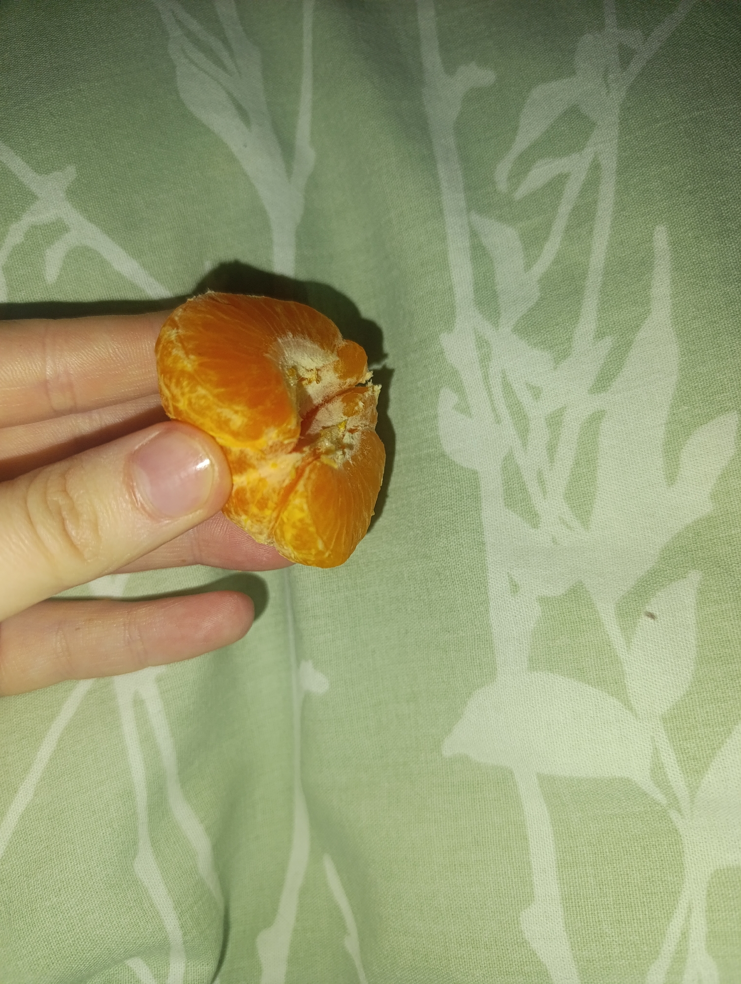 A hand is holding a peeled orange against a green and white floral patterned fabric. The orange is partially segmented and has some pith visible. The hand appears to belong to a light-skinned person. The background is out of focus. There is no information about the location of the image, so it is impossible to include it.