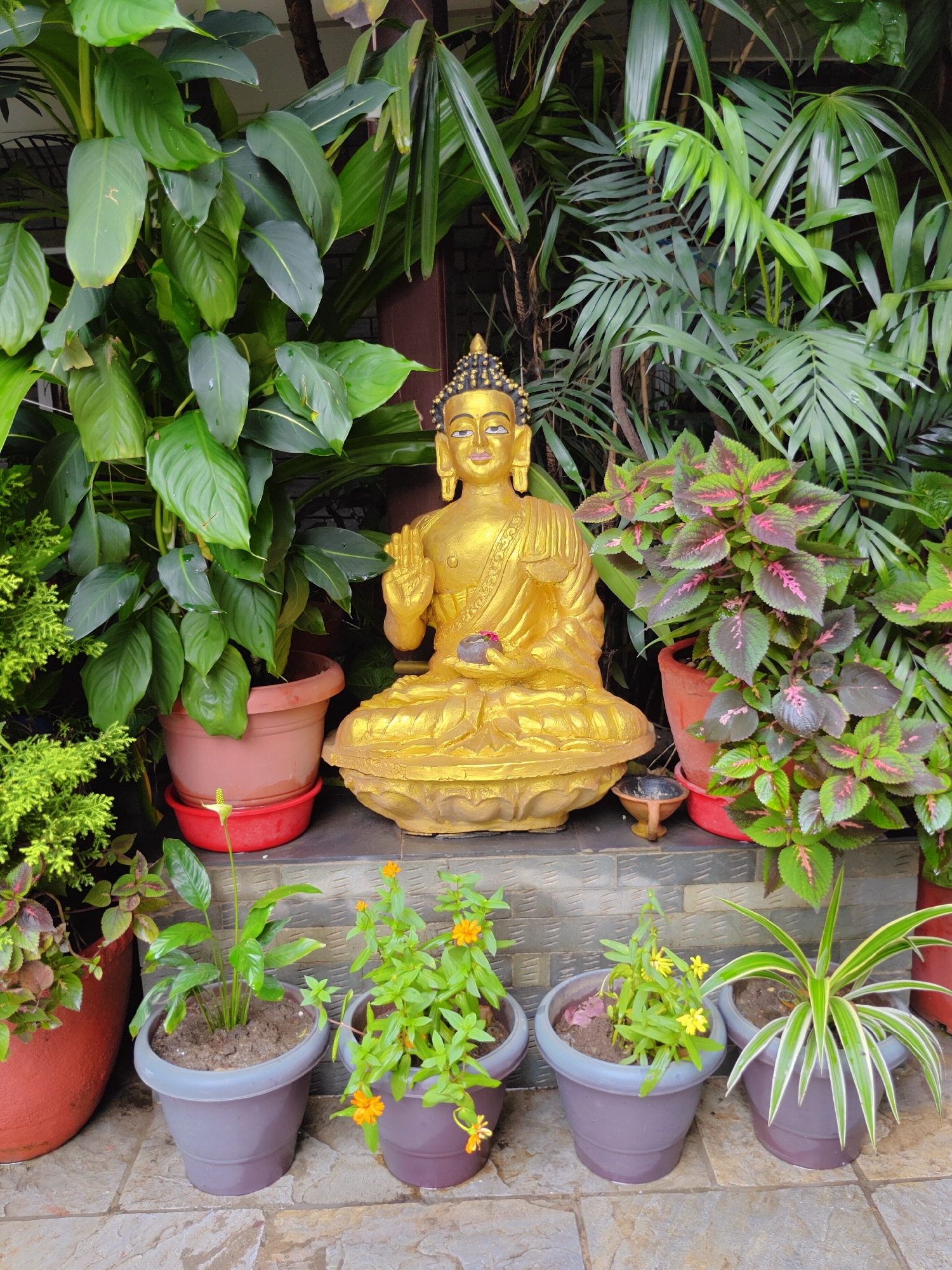 A golden Buddha statue sits centrally in a lush garden setting, positioned on a lotus pedestal. The Buddha is depicted in a seated meditation pose, with its right hand raised in a gesture of blessing and its left hand resting in its lap. The statue is adorned with intricate detailing on its headdress and robe. Surrounding the Buddha are various potted plants, including large-leafed greenery, coleus with red and green foliage, and smaller potted plants with delicate orange and yellow flowers. The garden appears to be an outdoor space, possibly a courtyard or patio, with textured paving stones on the ground and a brick wall visible in the background. The overall ambiance is one of tranquility and natural beauty. The image was captured in the city of Pokhara, Nepal.