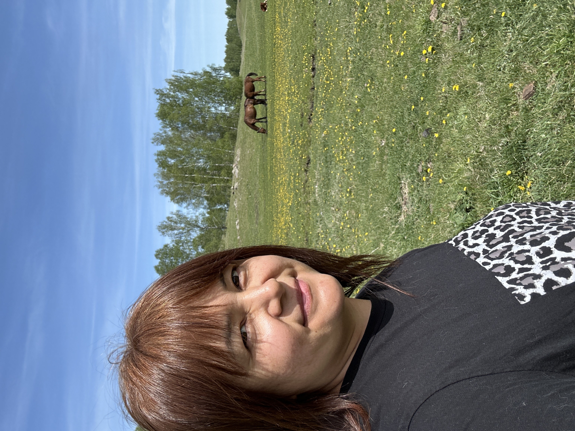 A photograph depicts a woman lying on a grassy field on a sunny day. The sky is blue with faint white streaks. In the background, two horses are grazing in a meadow dotted with yellow flowers. A cluster of trees is visible behind them. The woman has brown hair and is wearing a black shirt with a leopard print patch. The location is Unknown.