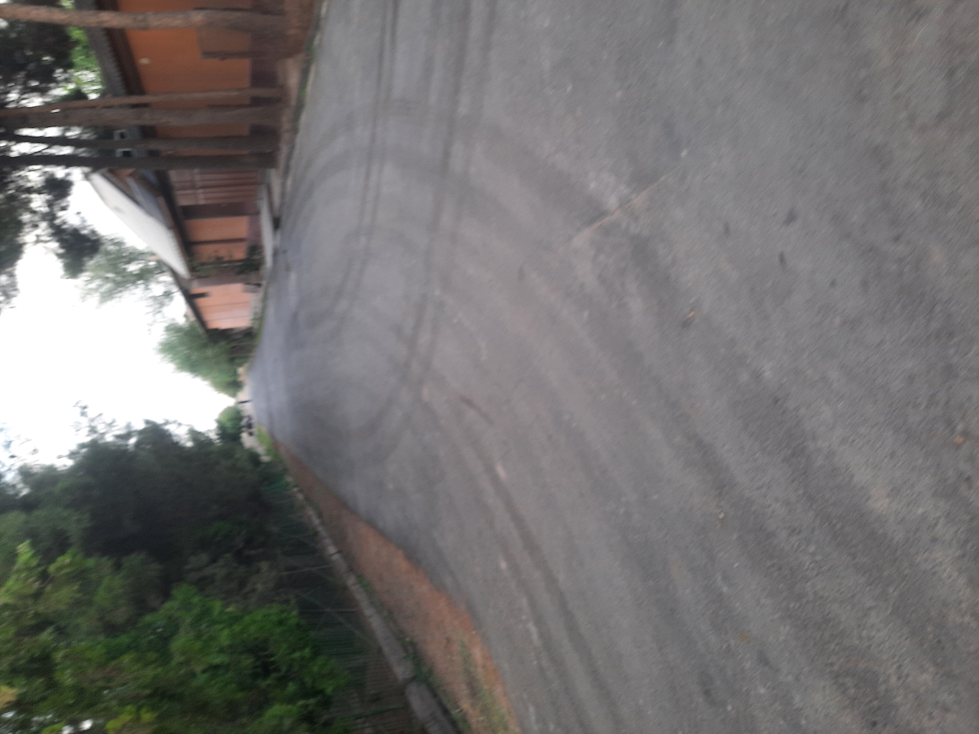 The image shows an asphalt road in what appears to be a semi-rural or suburban area. On the left side of the road, there is a densely vegetated area with trees and green foliage, bordered by a wire fence. The road itself exhibits tire marks, suggesting vehicle traffic. On the right side of the road, there are buildings with orange-colored walls and dark roofing, interspersed with several tall, slender trees. The sky is overcast and bright, indicating daylight. A single, blurred figure of a person can be seen in the distance on the road. This scene is consistent with a location within the city of Восеабад, Tajikistan, possibly an access road to a residential or agricultural area, given the presence of buildings and vegetation.