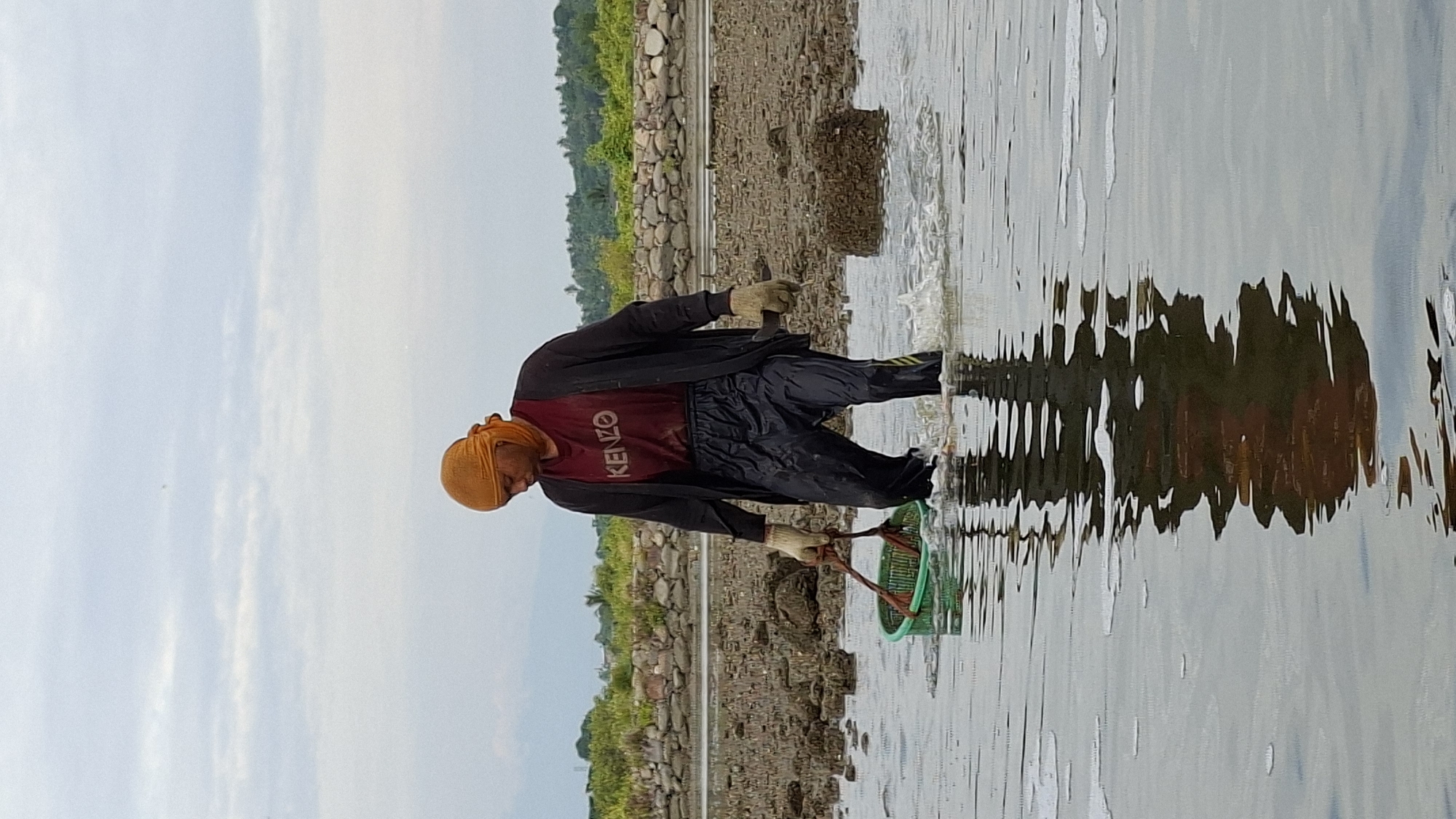 A person wearing an orange headscarf, a red t-shirt with "KENZO" printed on it, a dark cardigan, and dark pants is wading through shallow water. They are wearing gloves and carrying a green basket with a net inside. The person appears to be fishing or collecting something from the water. The background shows a rocky shoreline with vegetation and a cloudy sky. The reflection of the person and their surroundings is visible in the water. The scene is likely a coastal area in Lhokseumawe, Indonesia, possibly a fishing or aquaculture zone.