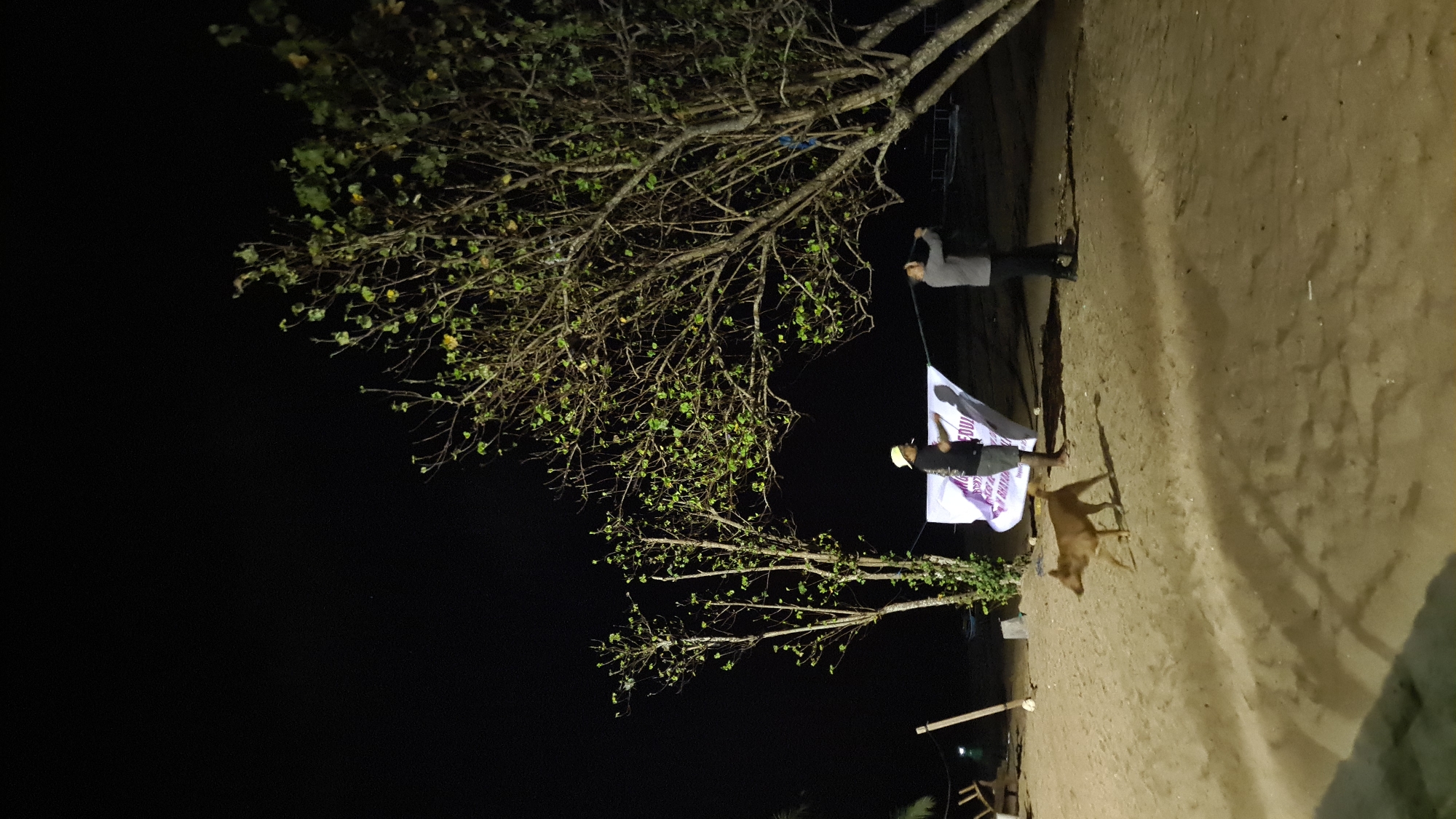 A nighttime beach scene in Denpasar, Indonesia, shows two individuals and a dog. The sandy ground is illuminated by artificial light, casting shadows from trees and figures. A large banner, possibly advertising an event, is stretched between two poles or trees. One person, wearing a yellow hat and dark clothing, stands near the banner, appearing to hold a cigarette. The second person, in grey attire, is positioned further to the right, holding onto the banner. A brown dog is walking across the sand between the people and the foreground. The background is dark, with the silhouettes of trees and some distant structures visible.