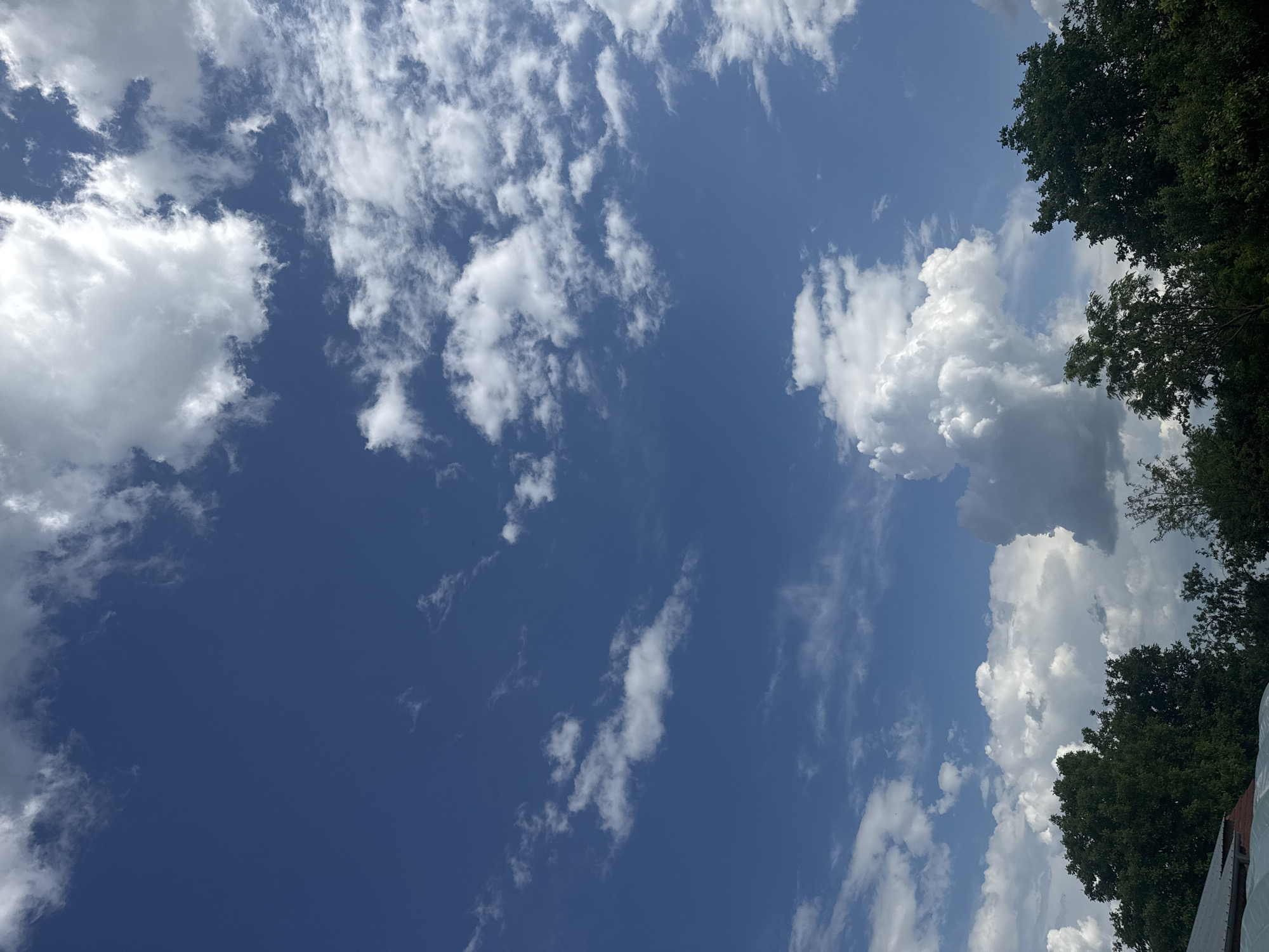 The image shows a sky with scattered white clouds against a blue backdrop. The view appears to be tilted, with tree branches visible on the right side. The location is unspecified, and there is no indication of the city of Sarnevo, Bulgaria. There are no people, specific objects, actions, or interactions evident in this image.