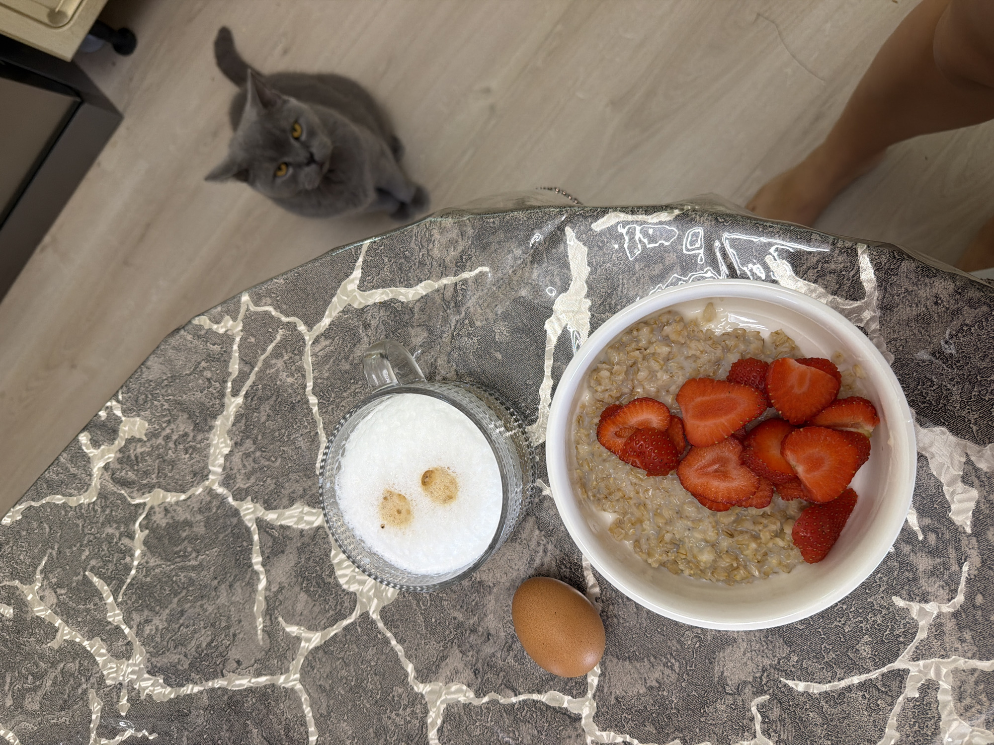 The image presents a high-angle view of a domestic breakfast scene in Sochi, Russia. In the foreground, a textured dark gray table surface, possibly covered by a transparent plastic sheet, displays a white, abstract pattern resembling cracks. On this surface, a white bowl is filled with oatmeal, generously topped with vibrant red, sliced fresh strawberries. Beside the bowl, a clear glass mug holds a frothy white beverage, likely a latte or cappuccino, featuring two small brown coffee spots on its foam. A single, smooth brown egg rests between the mug and the bowl.
On the light-colored wooden or laminate floor below the table, a fluffy grey cat with striking yellow eyes, possibly a British Shorthair, sits attentively, looking up towards the breakfast items with a curious gaze. Its tail is partially visible. To the far right of the frame, a bare human leg and foot are visible on the floor, suggesting a person is seated or standing nearby, likely preparing to eat. A small portion of light-colored furniture and a black object are visible on the far left. The scene conveys a calm, everyday morning moment, centered around a wholesome breakfast. No visible text is present.