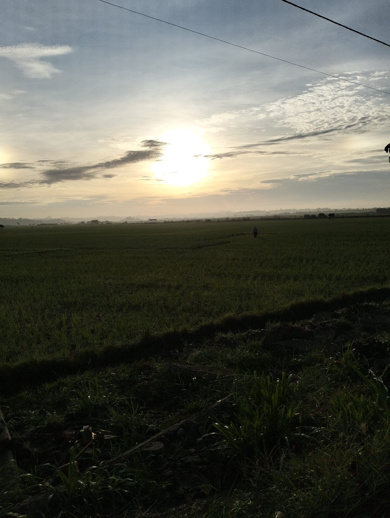 The image depicts a rural landscape at sunrise, featuring a vast expanse of green rice fields under a hazy sky. The sun is rising, casting a soft glow and creating a halo effect. In the distance, a lone figure is walking through the fields. There are a few small structures, possibly huts or sheds, scattered across the horizon. Overhead, power lines stretch across the frame, a stark contrast to the natural scenery. The foreground is dominated by dark, shadowed grass, possibly the edge of a pathway or embankment. The overall atmosphere is serene and tranquil. The image is believed to have been taken in Cotentung, Indonesia, based on the context provided.