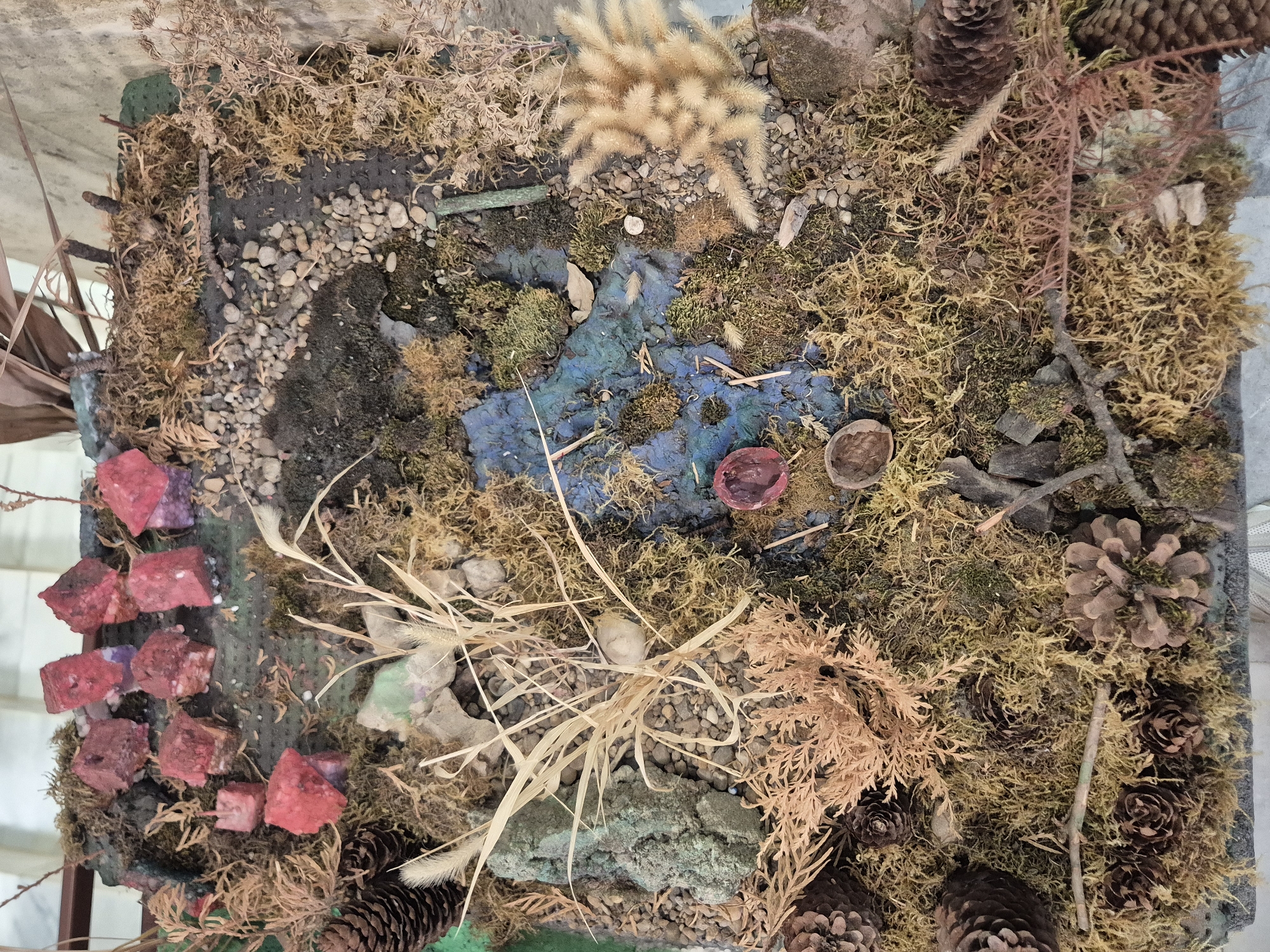 A close-up, overhead shot depicts a diorama of a natural landscape, seemingly a miniature representation of a forest floor or stream bed. The diorama is contained within a square or rectangular frame and includes elements such as moss of varying colors and textures, small pebbles, pine cones, and dried grasses. A section of blue and green painted surface represents water, possibly a stream. Artificial elements like red cube shapes are positioned along one edge, possibly to represent rocks or buildings. The scene appears to be in a display and is not necessarily representing a specific real-world location. Given the prompt mentioning Srebarna, Bulgaria, the landscape could be inspired by that region. No people are visible, and the focus is on the arrangement of objects to simulate a natural environment.